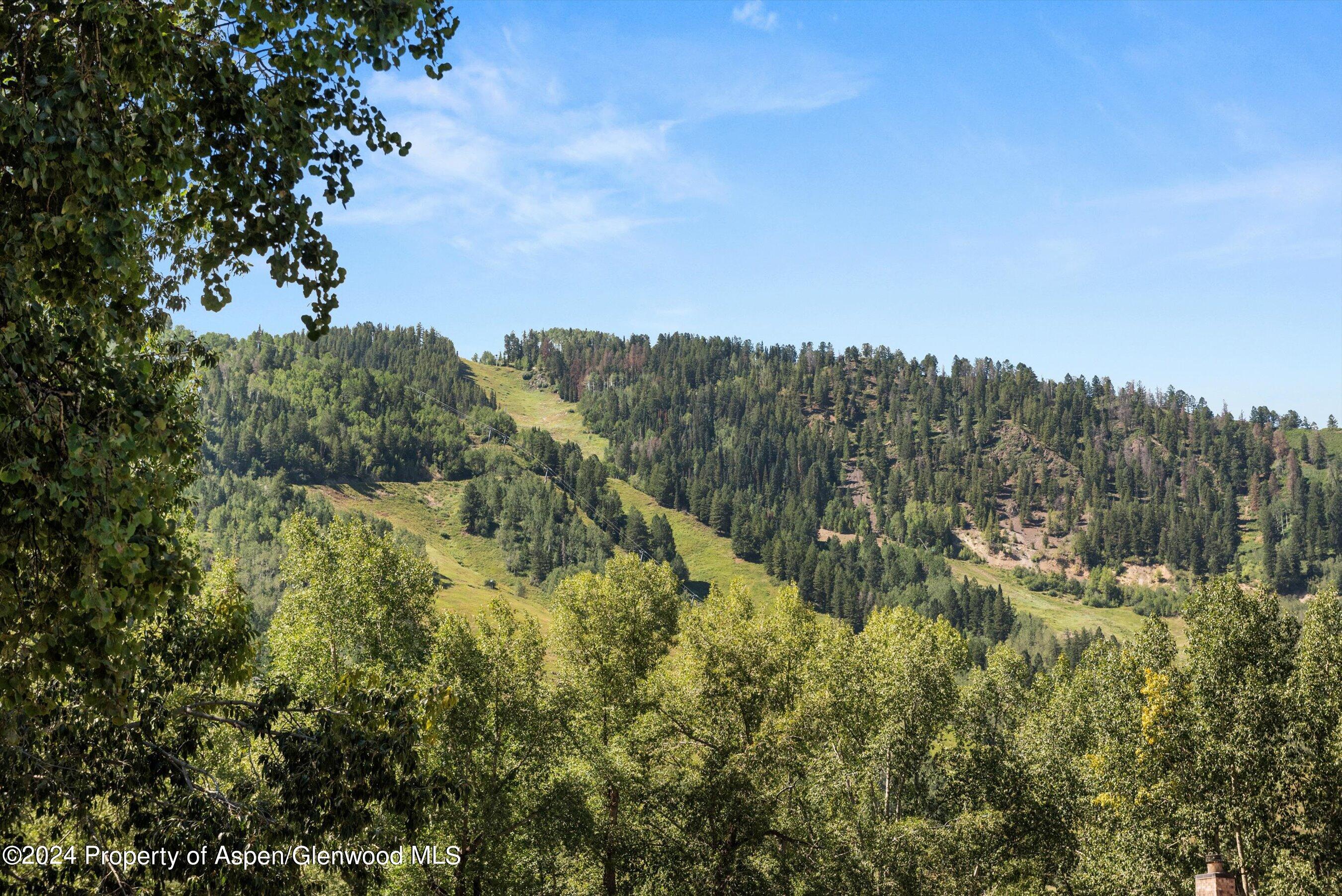 901 E Hyman Avenue Aspen CO 81611