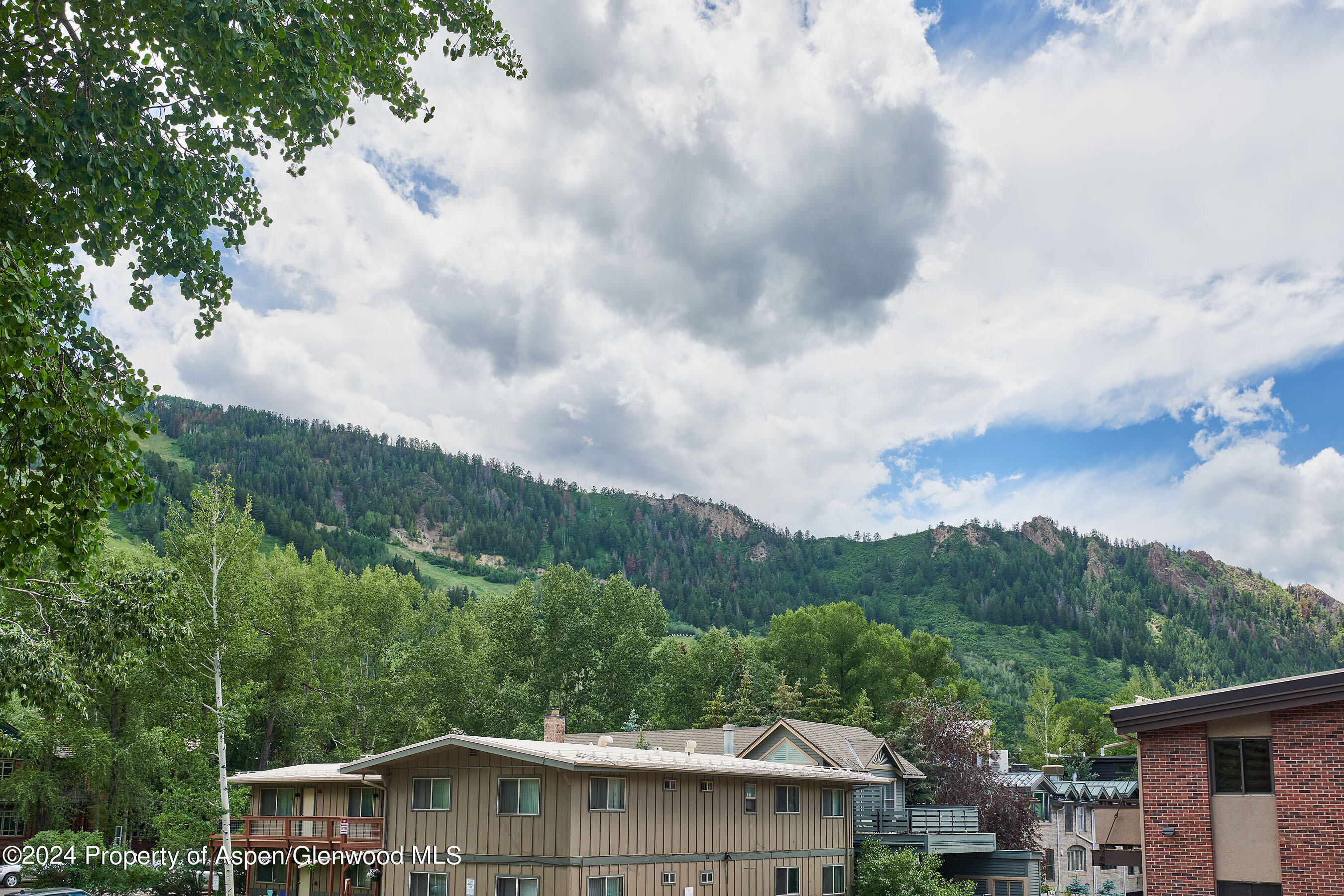 901 E Hyman Avenue Aspen CO 81611