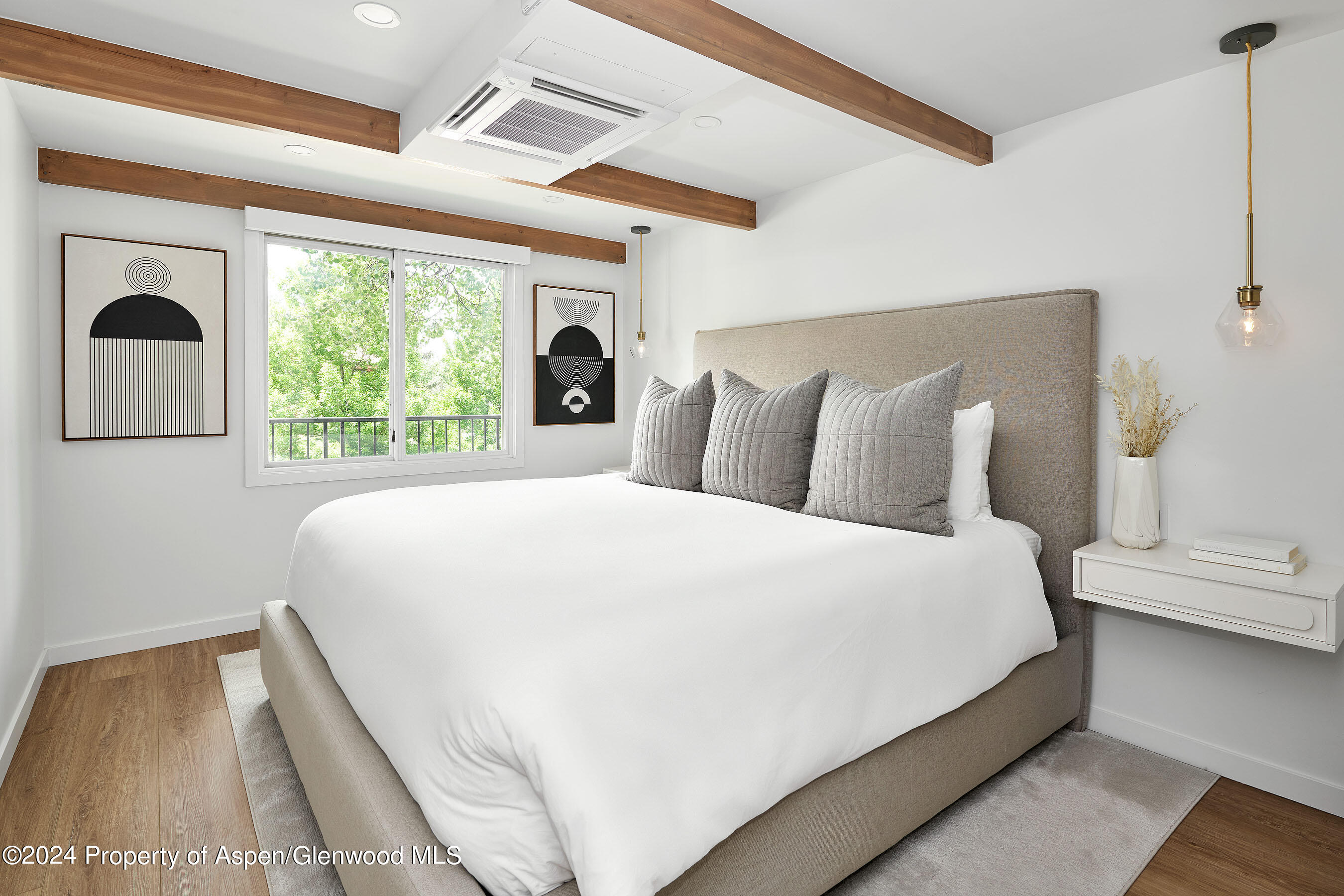 901 E Hyman Avenue Aspen CO 81611