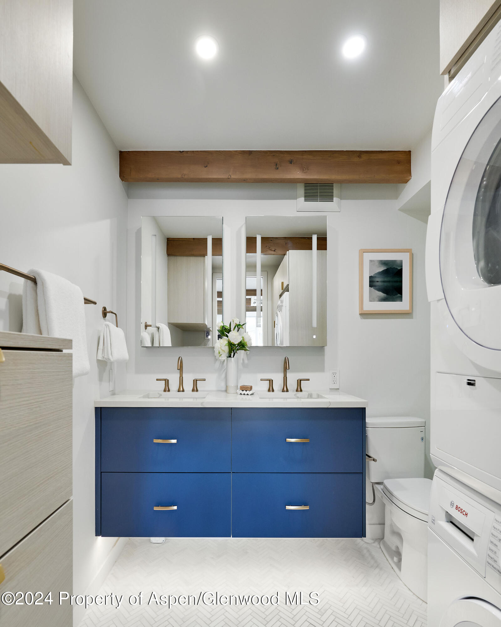 901 E Hyman Avenue Aspen CO 81611