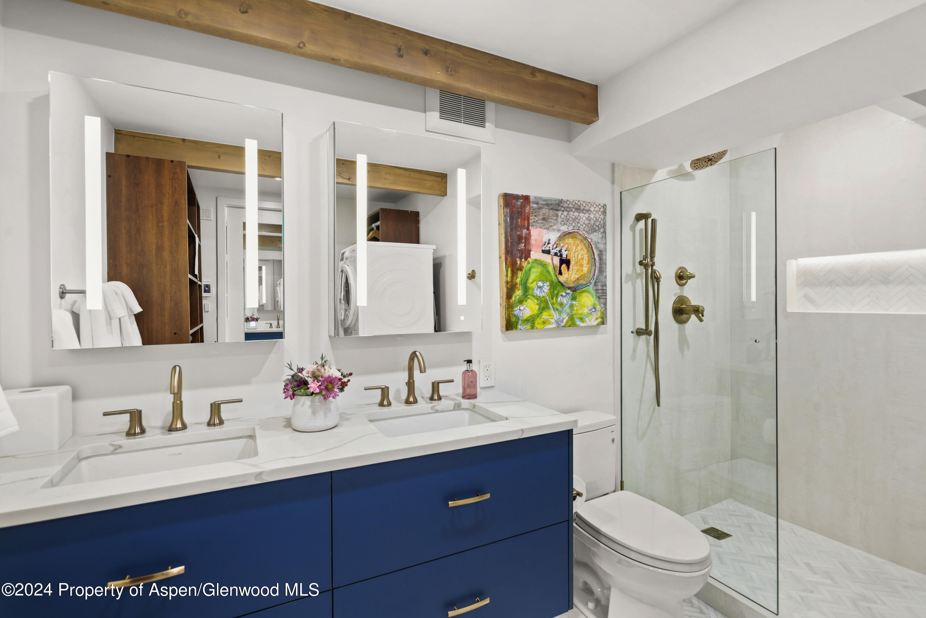 901 E Hyman Avenue Aspen CO 81611