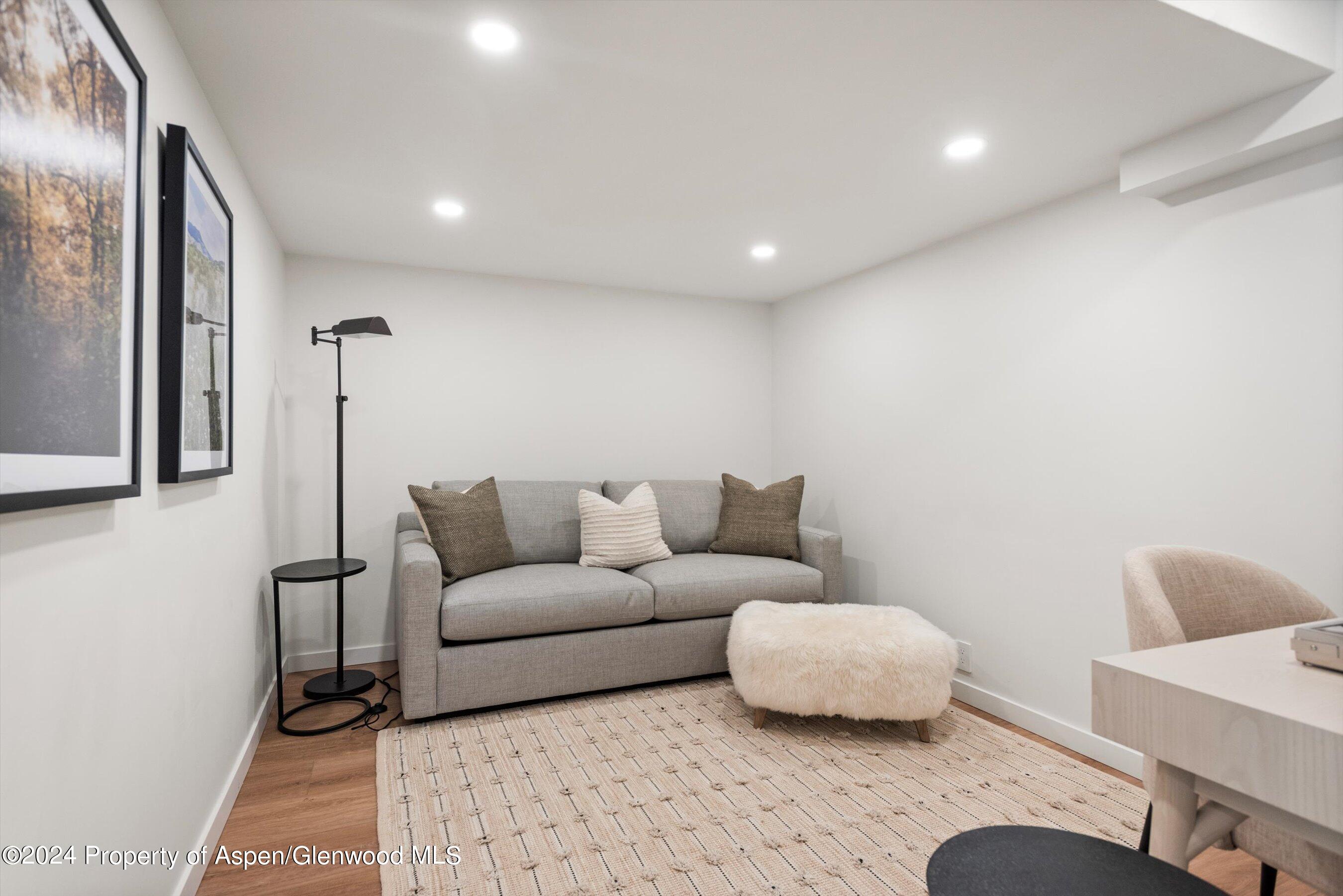 901 E Hyman Avenue Aspen CO 81611