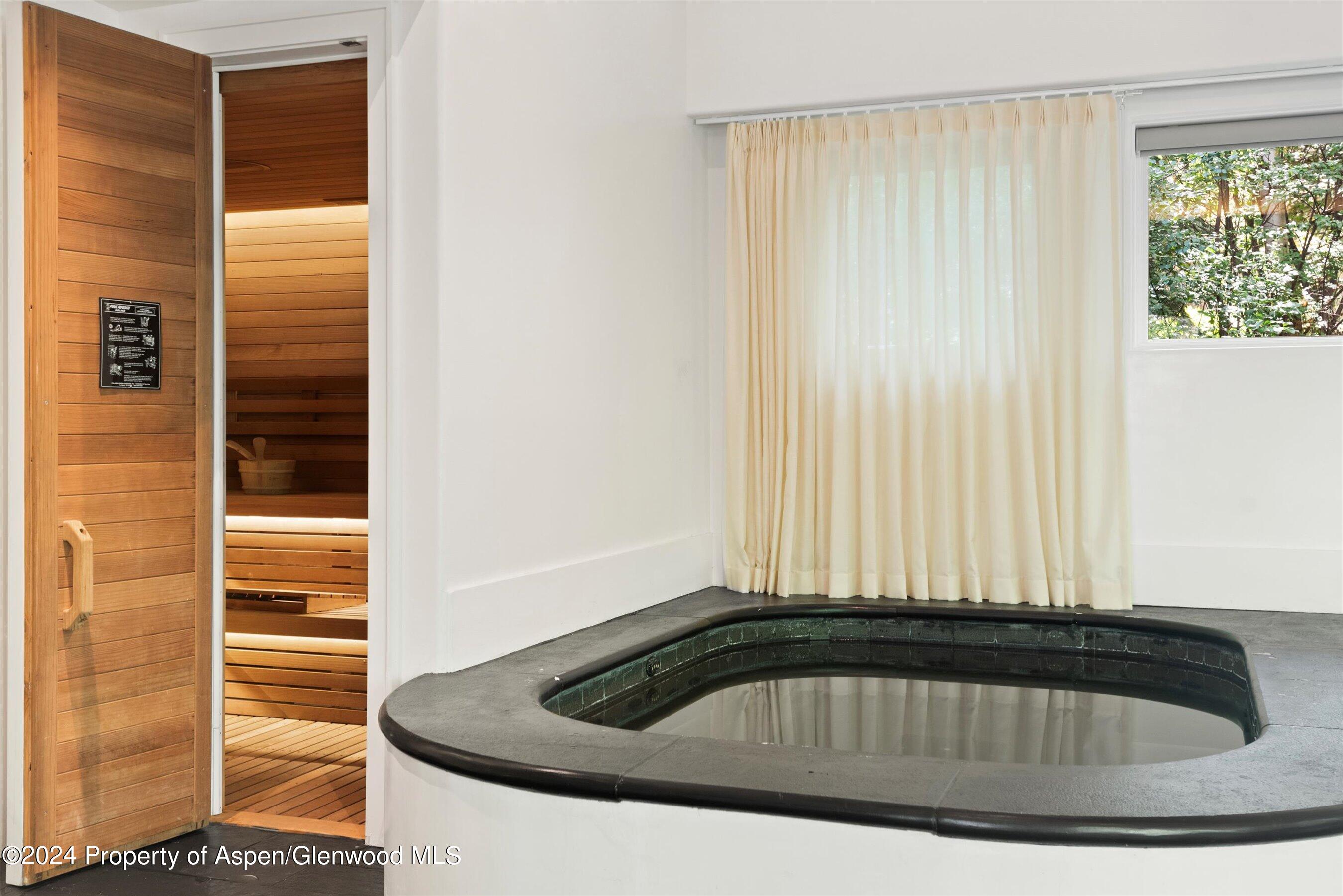 40 Northstar Circle Aspen CO 81611