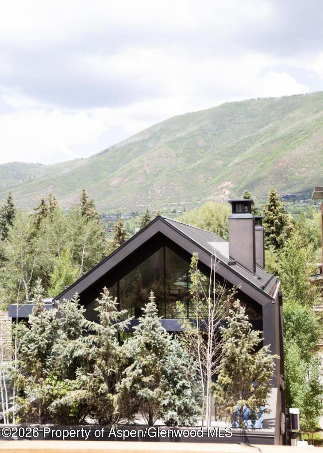 210 E Cooper Avenue Aspen CO 81611