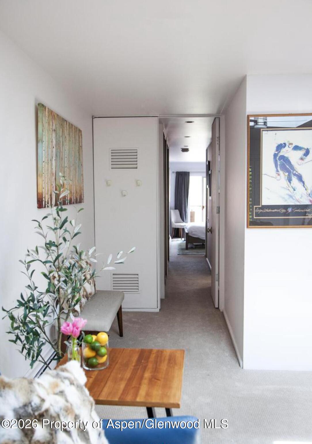 210 E Cooper Avenue Aspen CO 81611