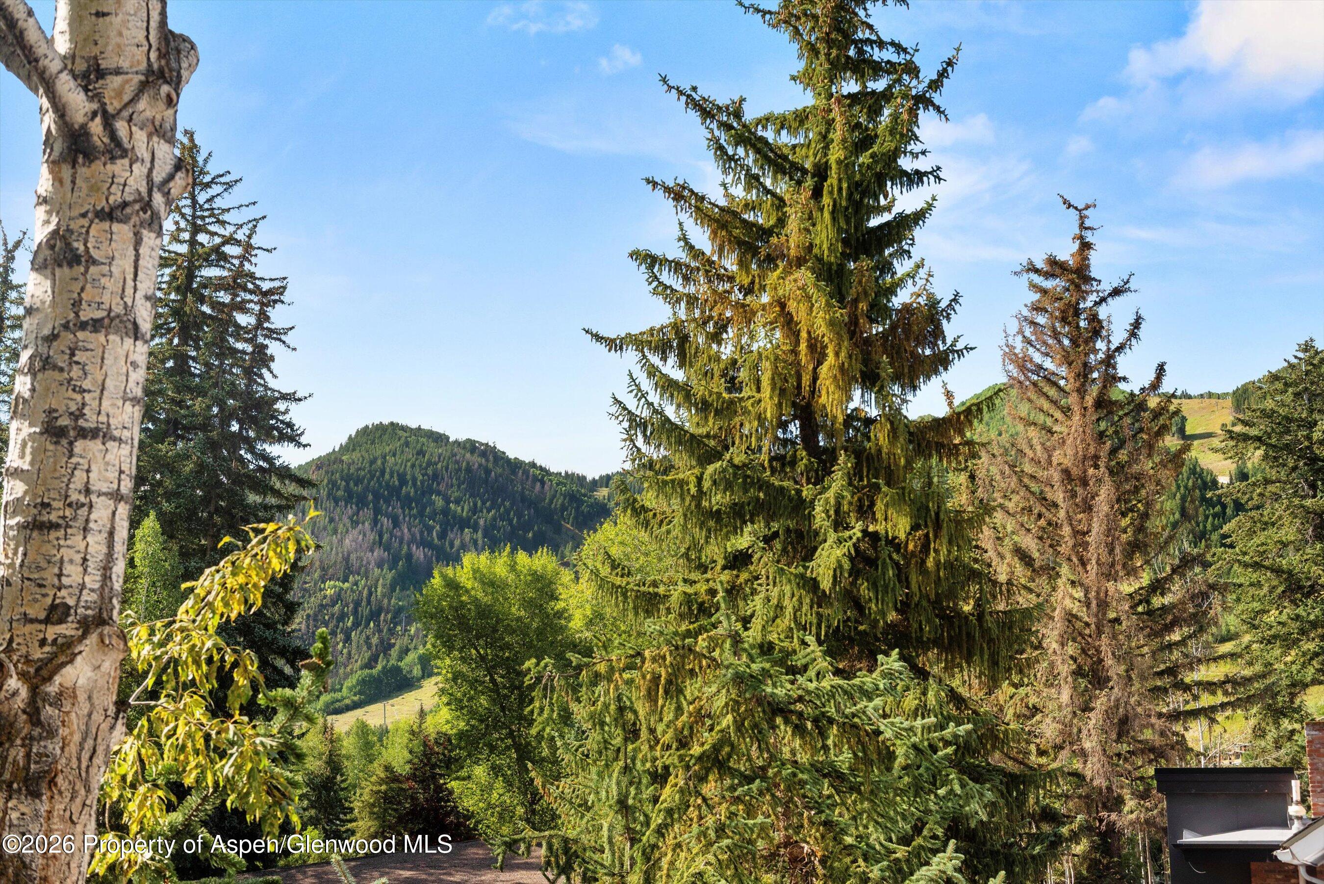 105 E Bleeker Street Aspen CO 81611