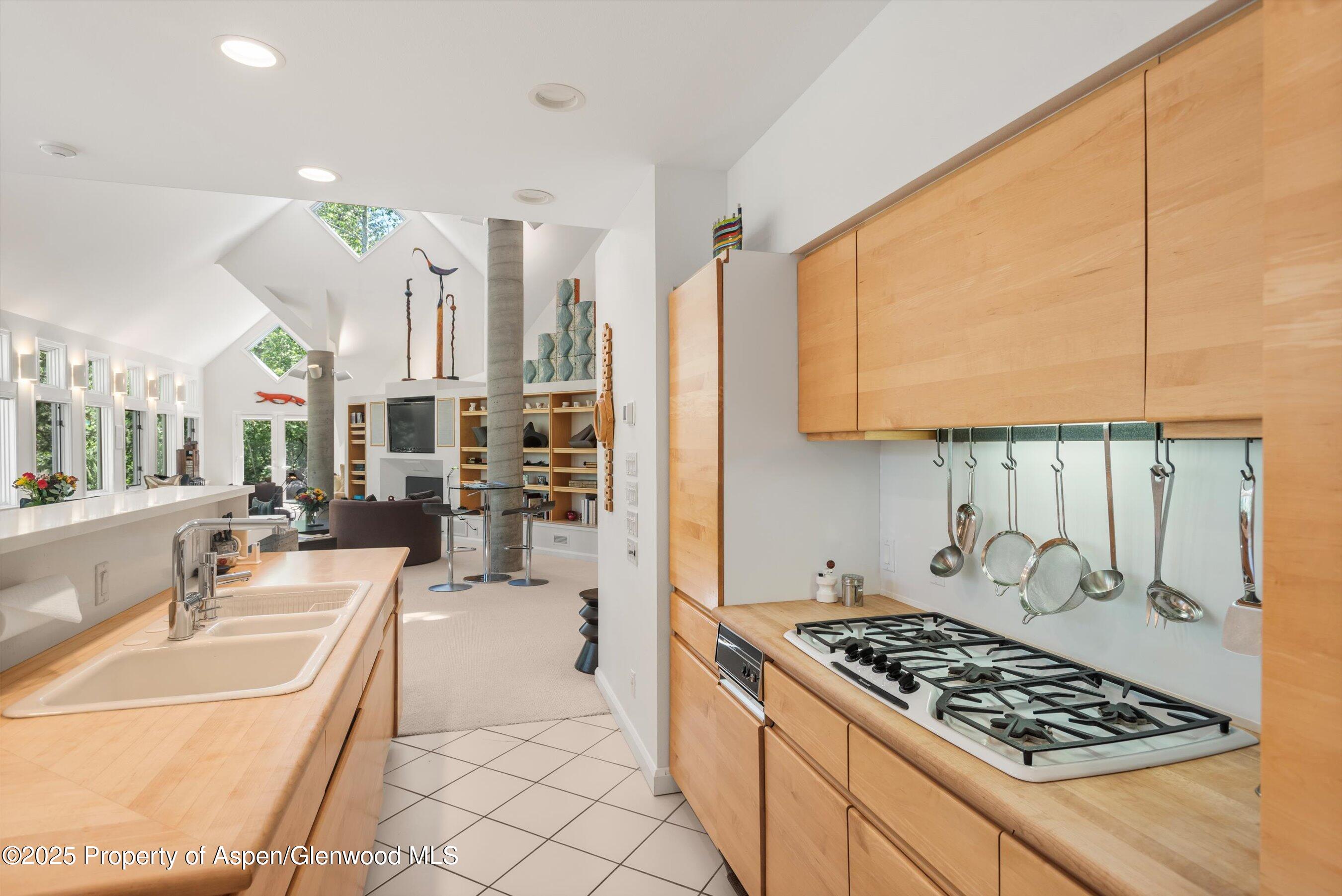 1115 Ute Avenue Aspen CO 81611