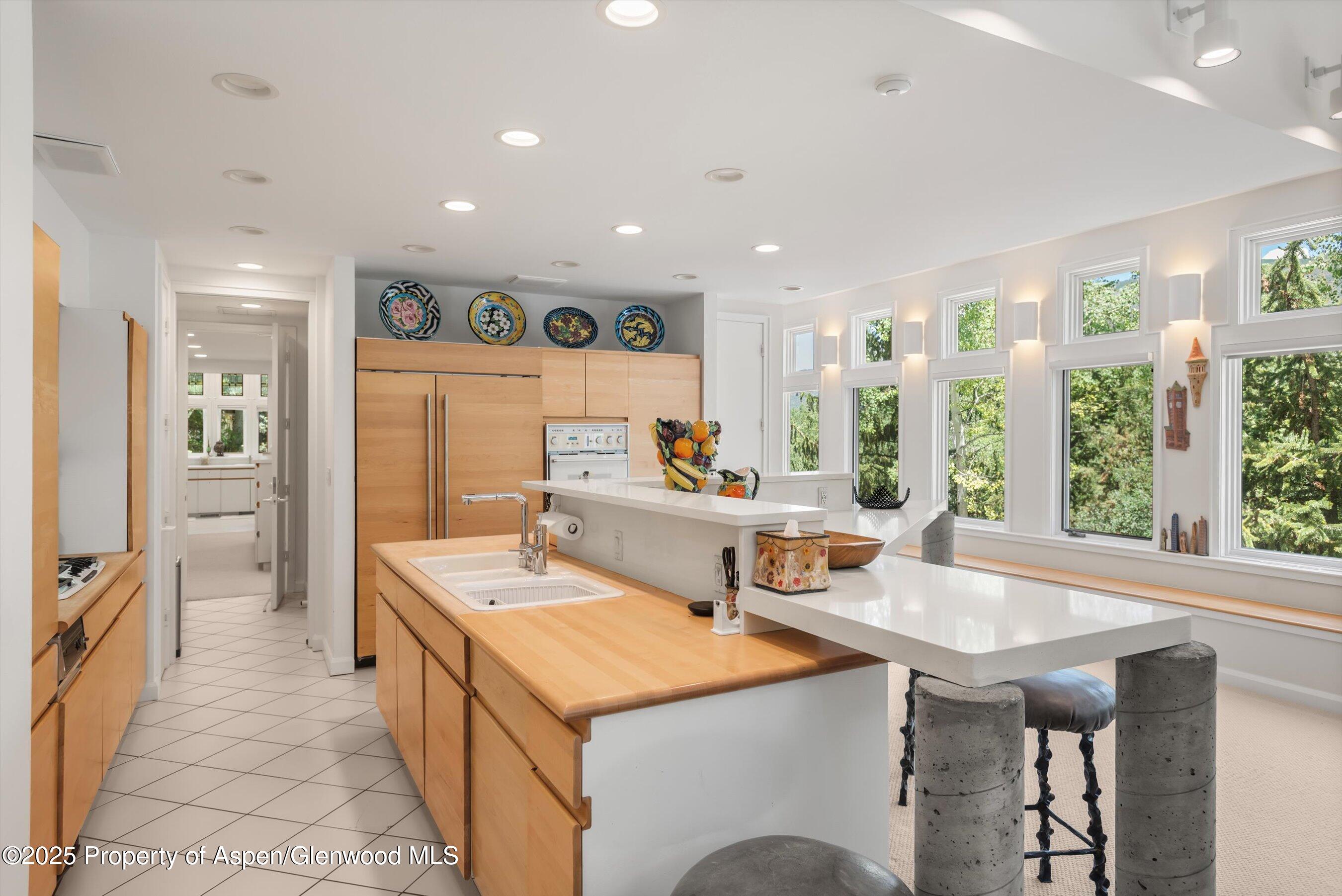 1115 Ute Avenue Aspen CO 81611