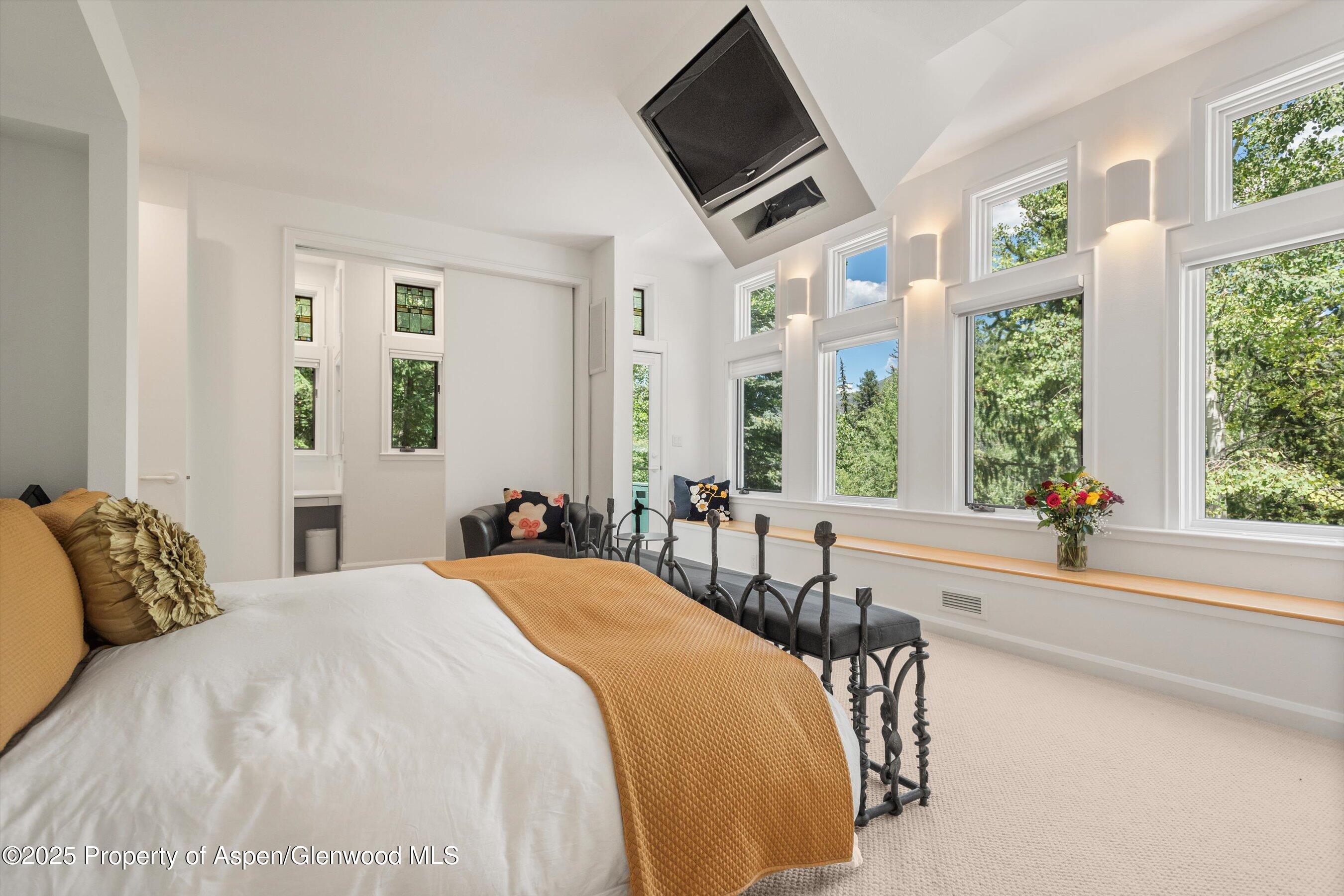 1115 Ute Avenue Aspen CO 81611