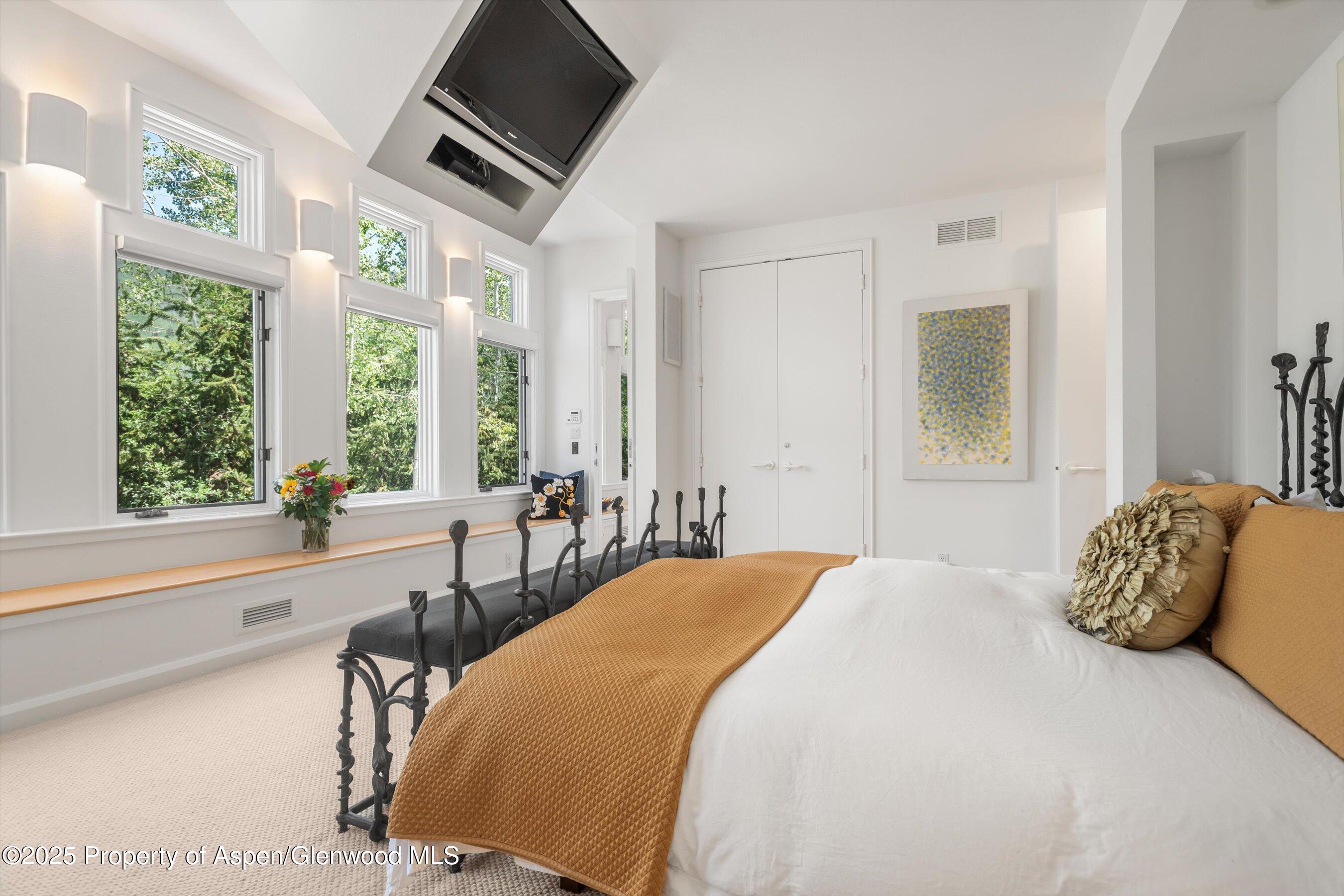 1115 Ute Avenue Aspen CO 81611