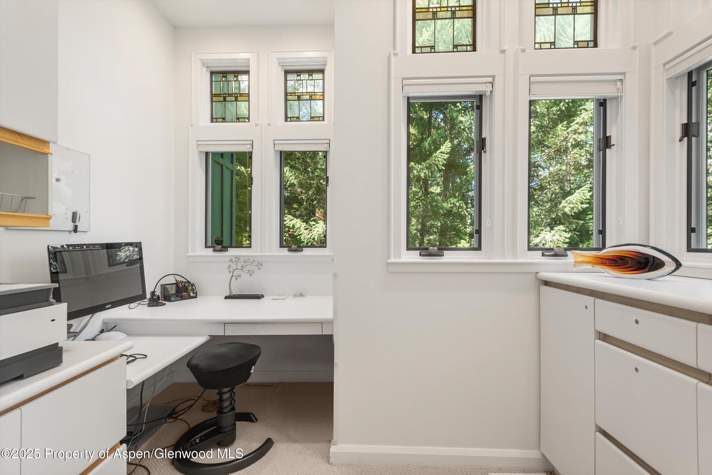 1115 Ute Avenue Aspen CO 81611