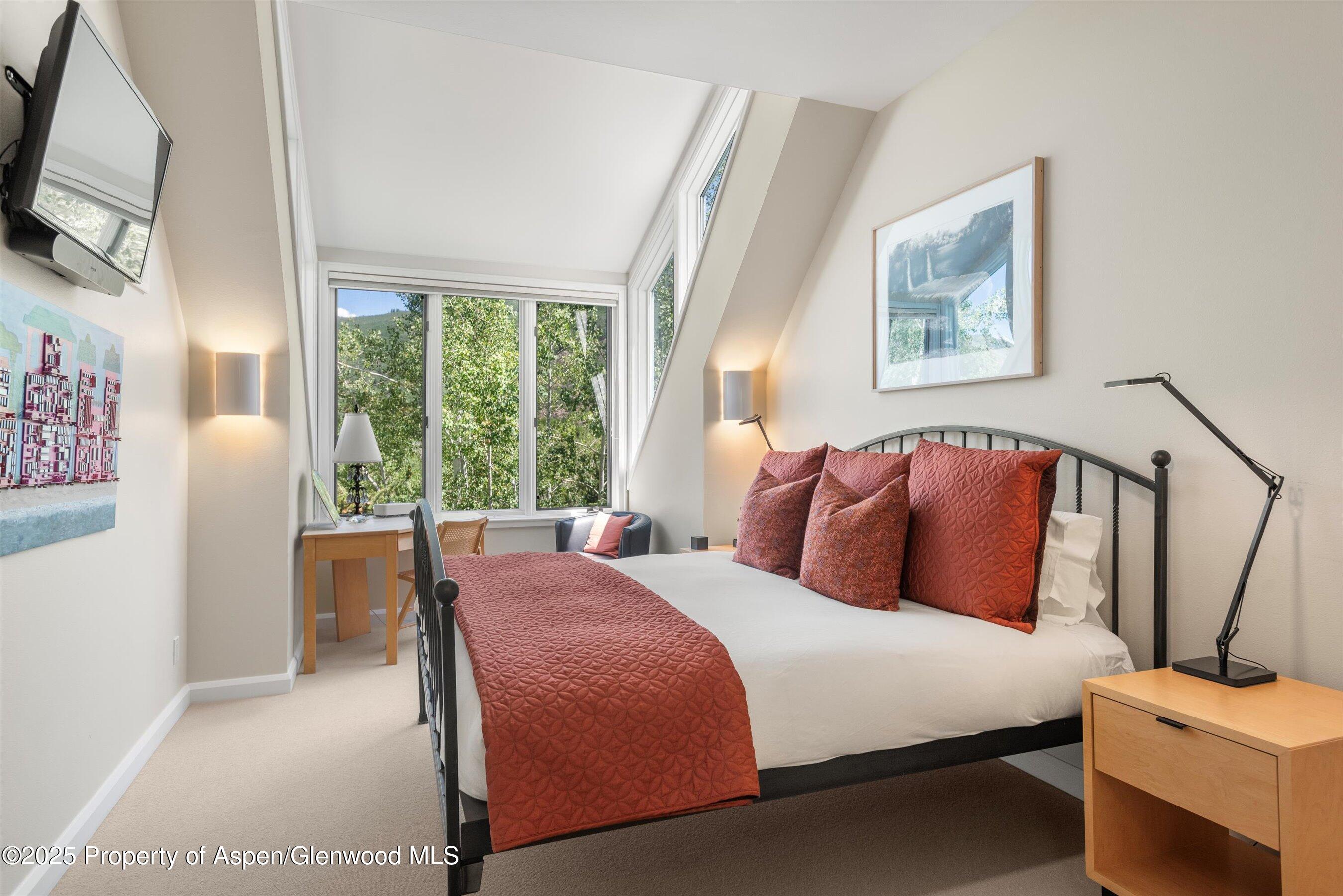 1115 Ute Avenue Aspen CO 81611