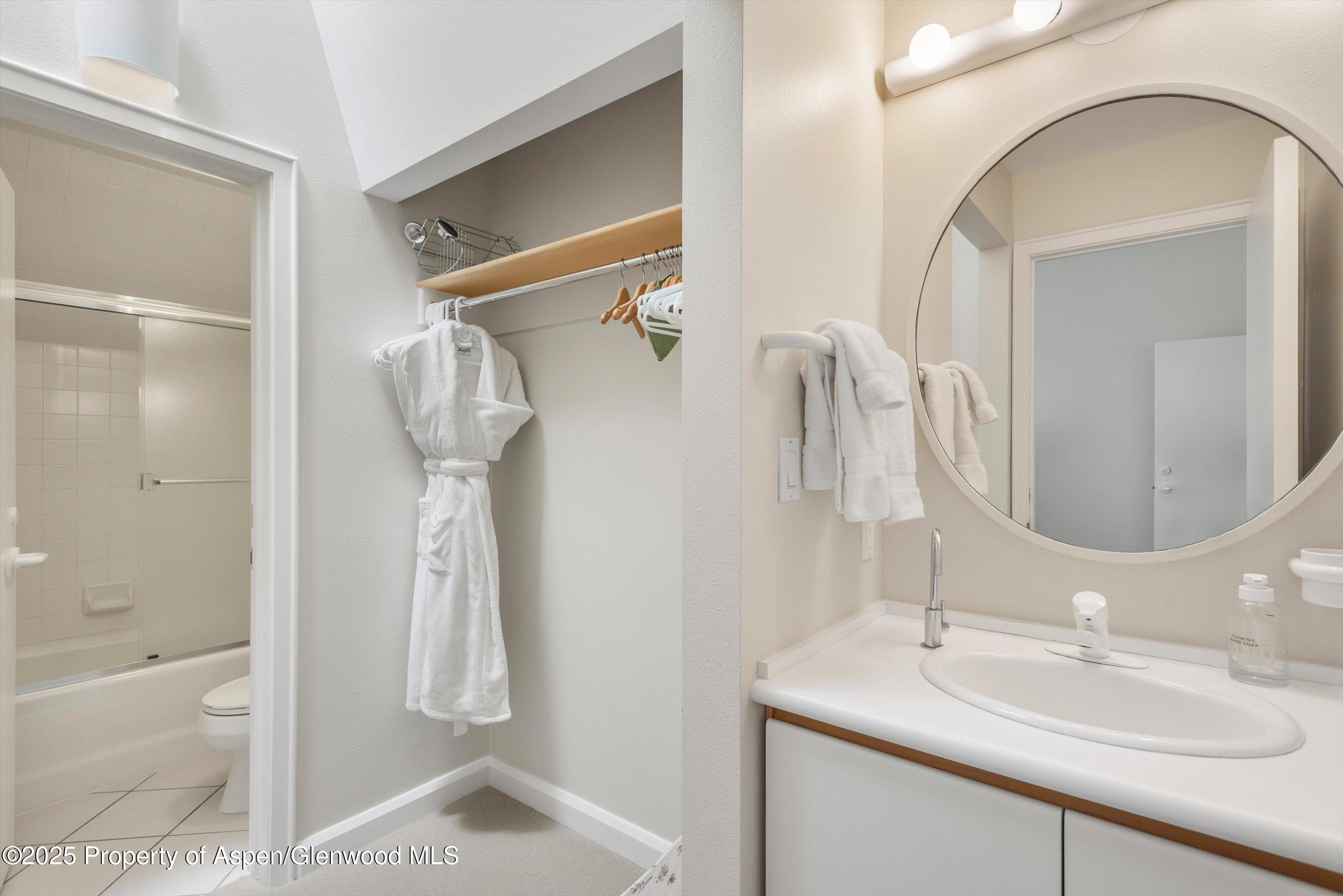 1115 Ute Avenue Aspen CO 81611