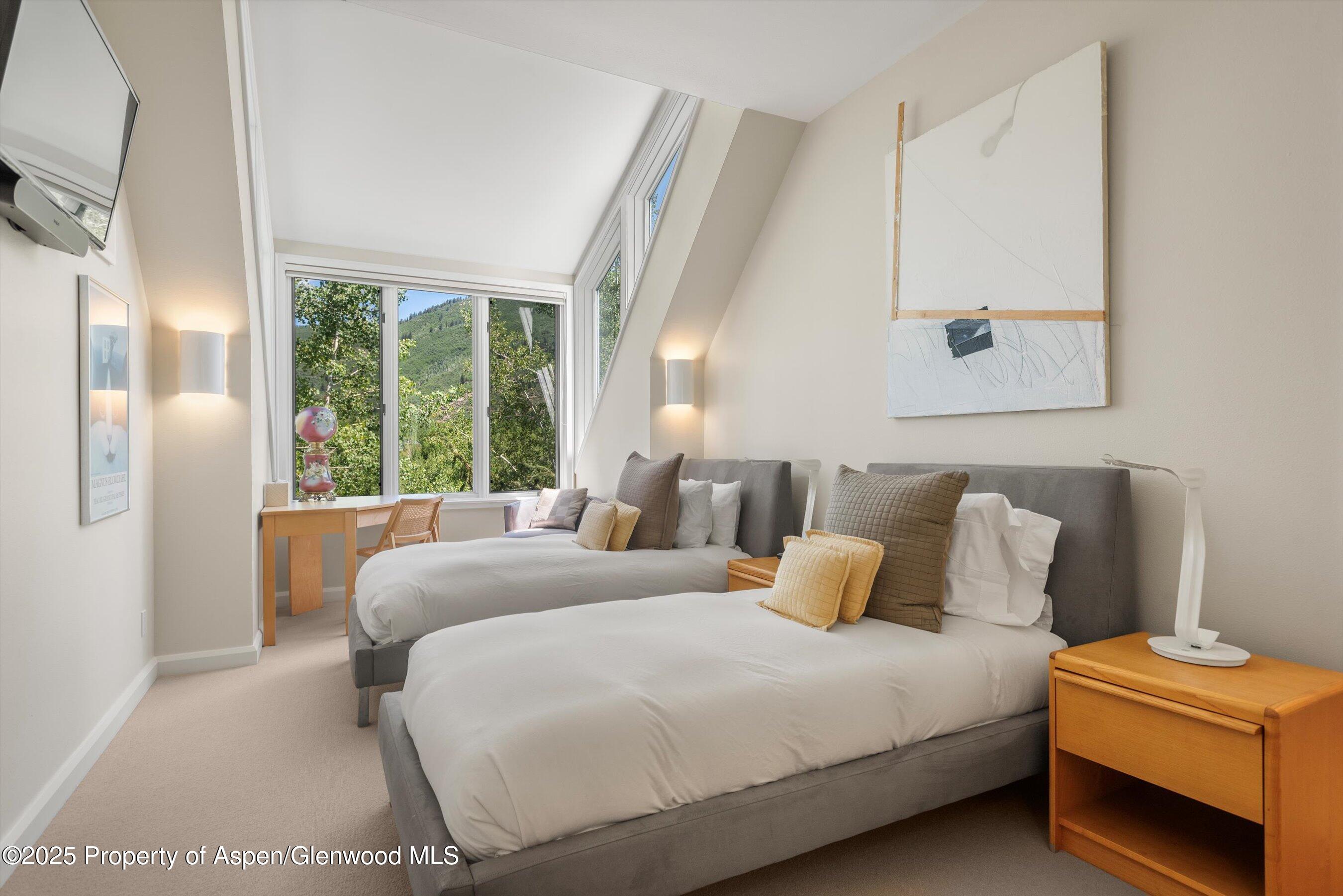 1115 Ute Avenue Aspen CO 81611