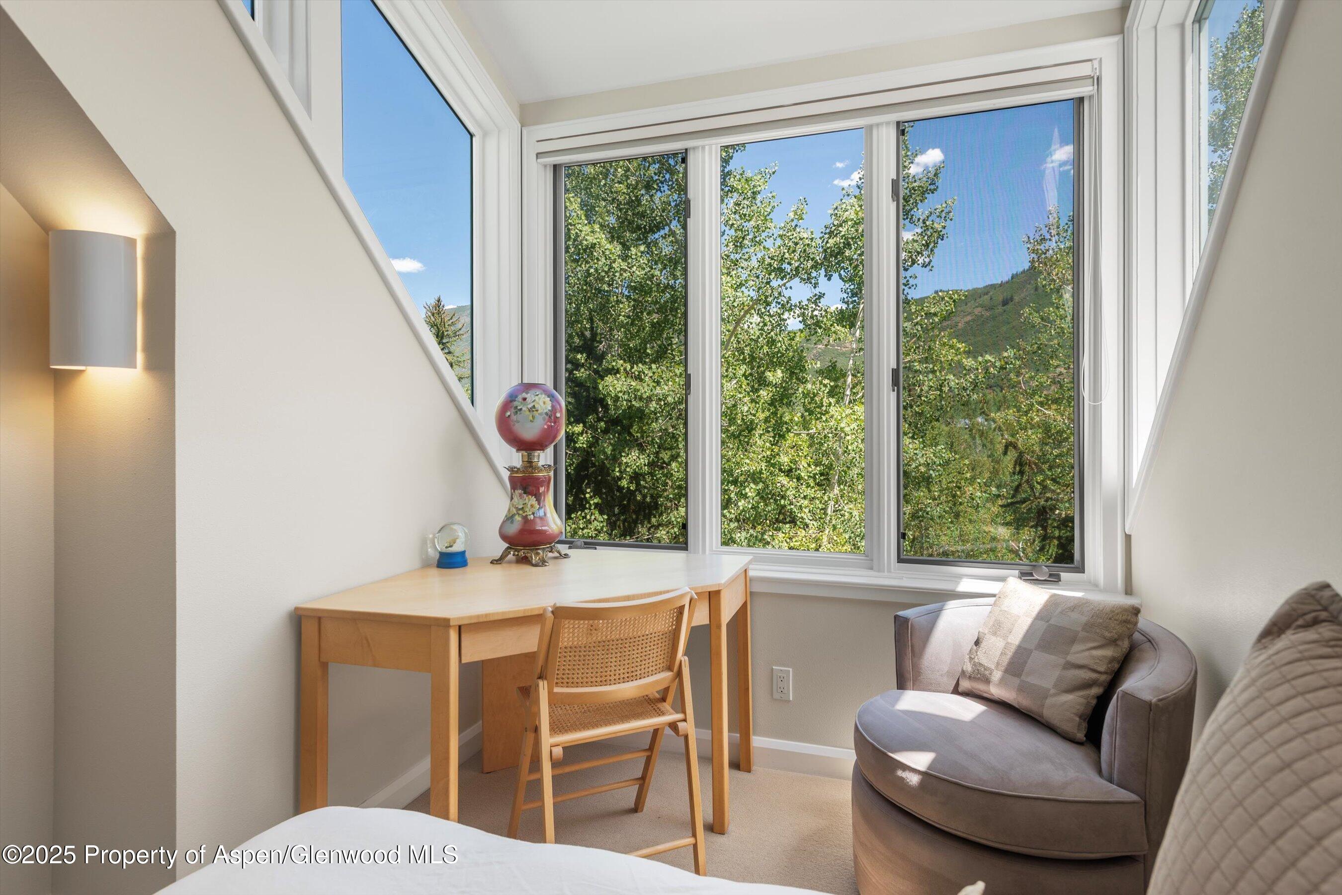 1115 Ute Avenue Aspen CO 81611