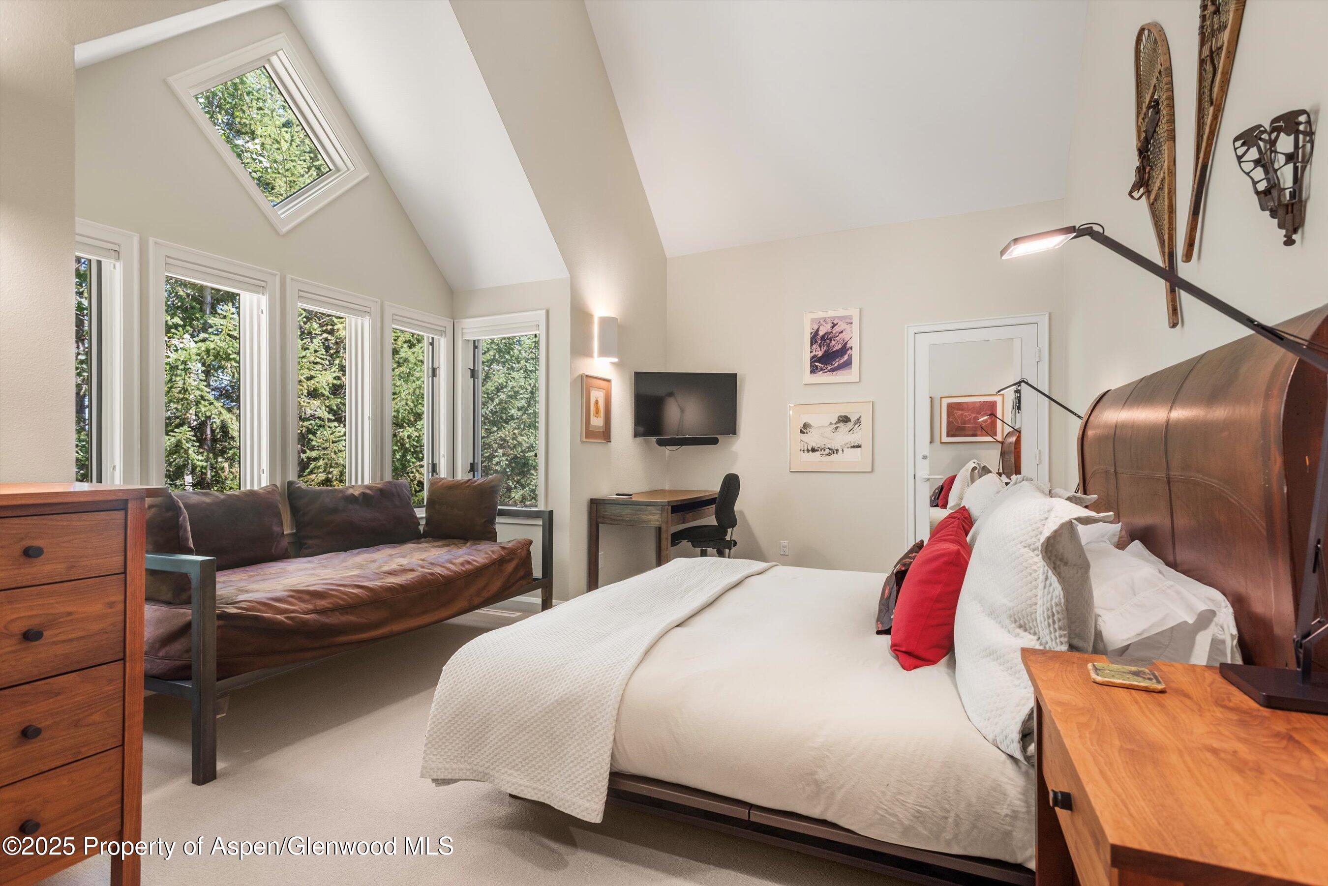 1115 Ute Avenue Aspen CO 81611