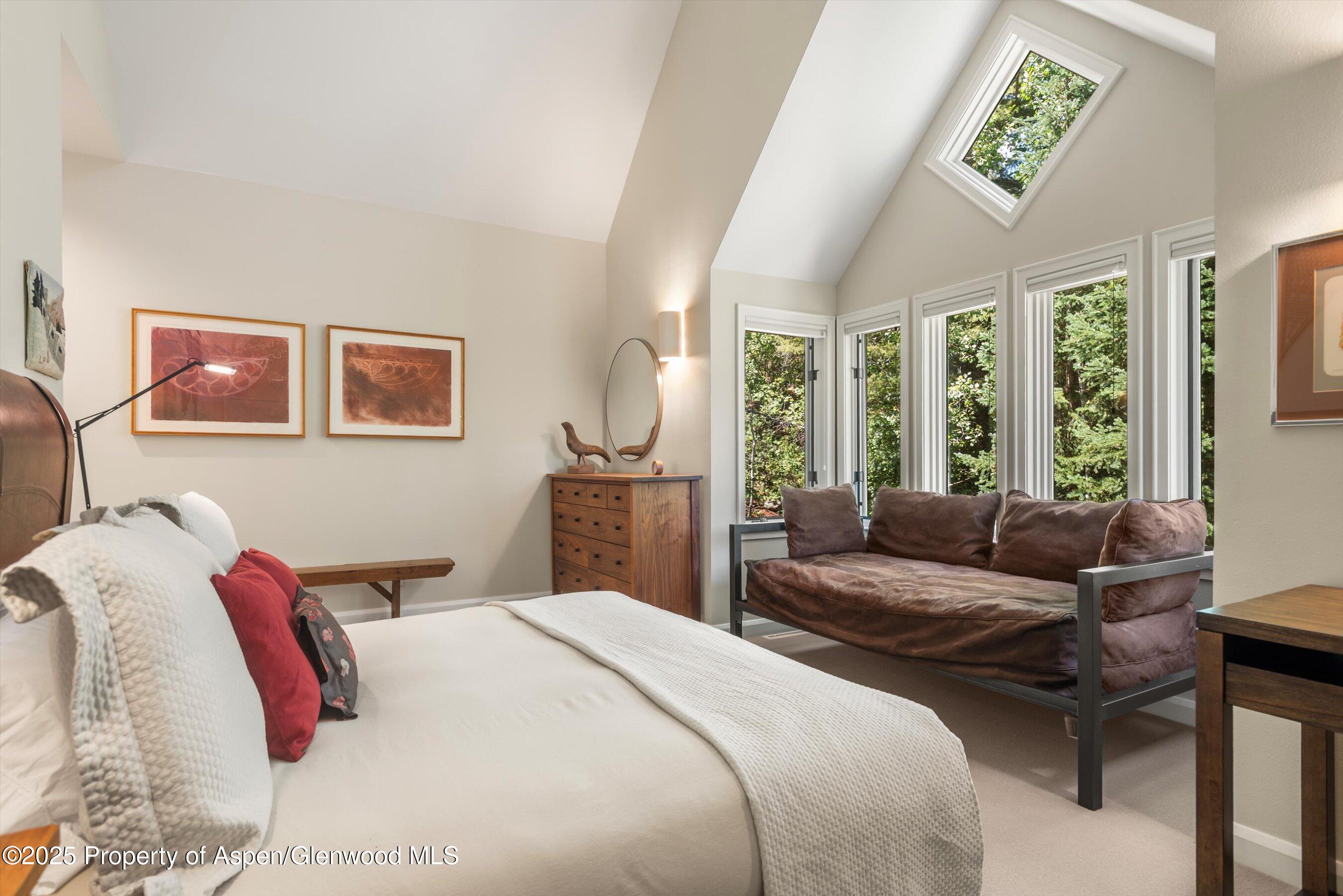 1115 Ute Avenue Aspen CO 81611