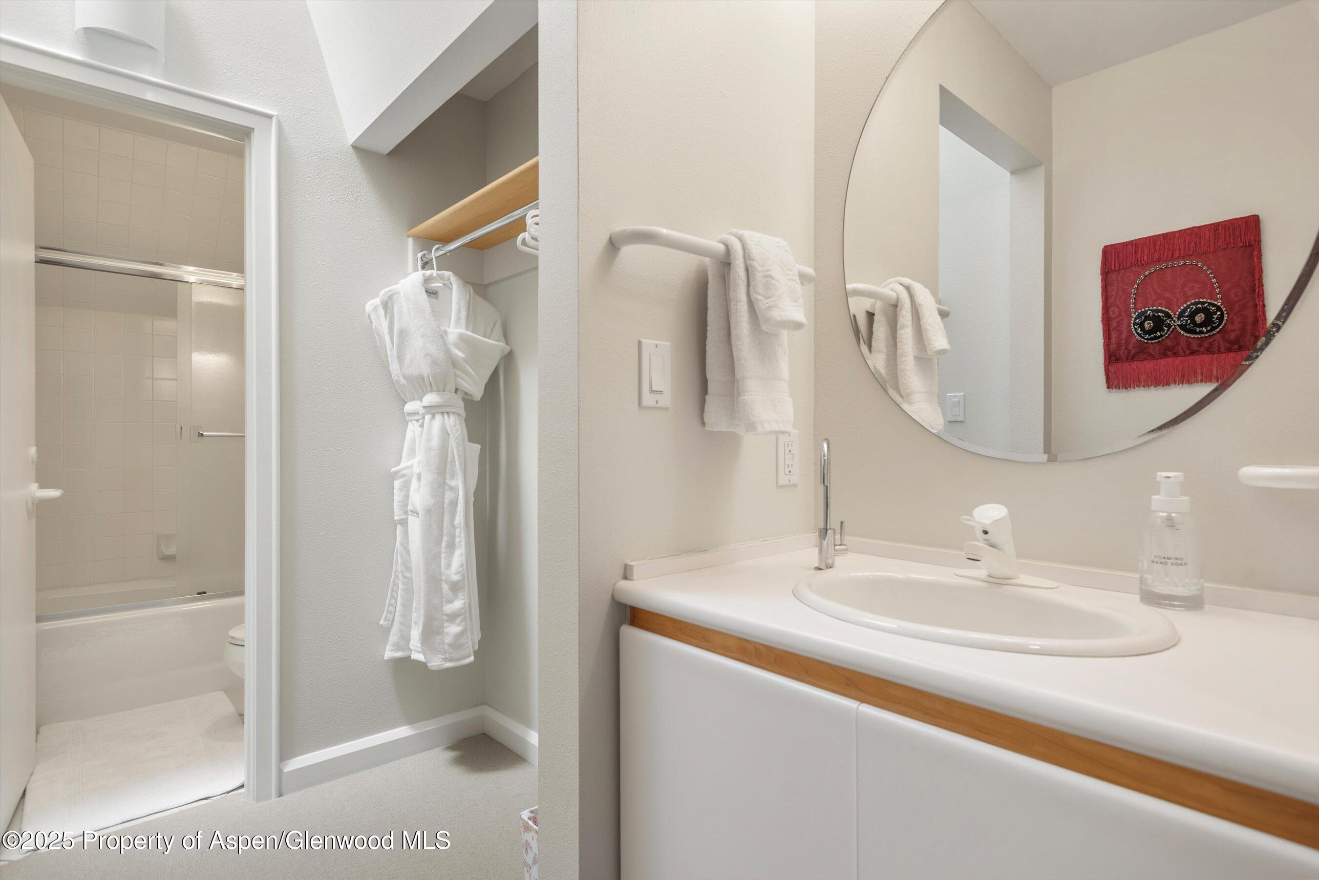 1115 Ute Avenue Aspen CO 81611