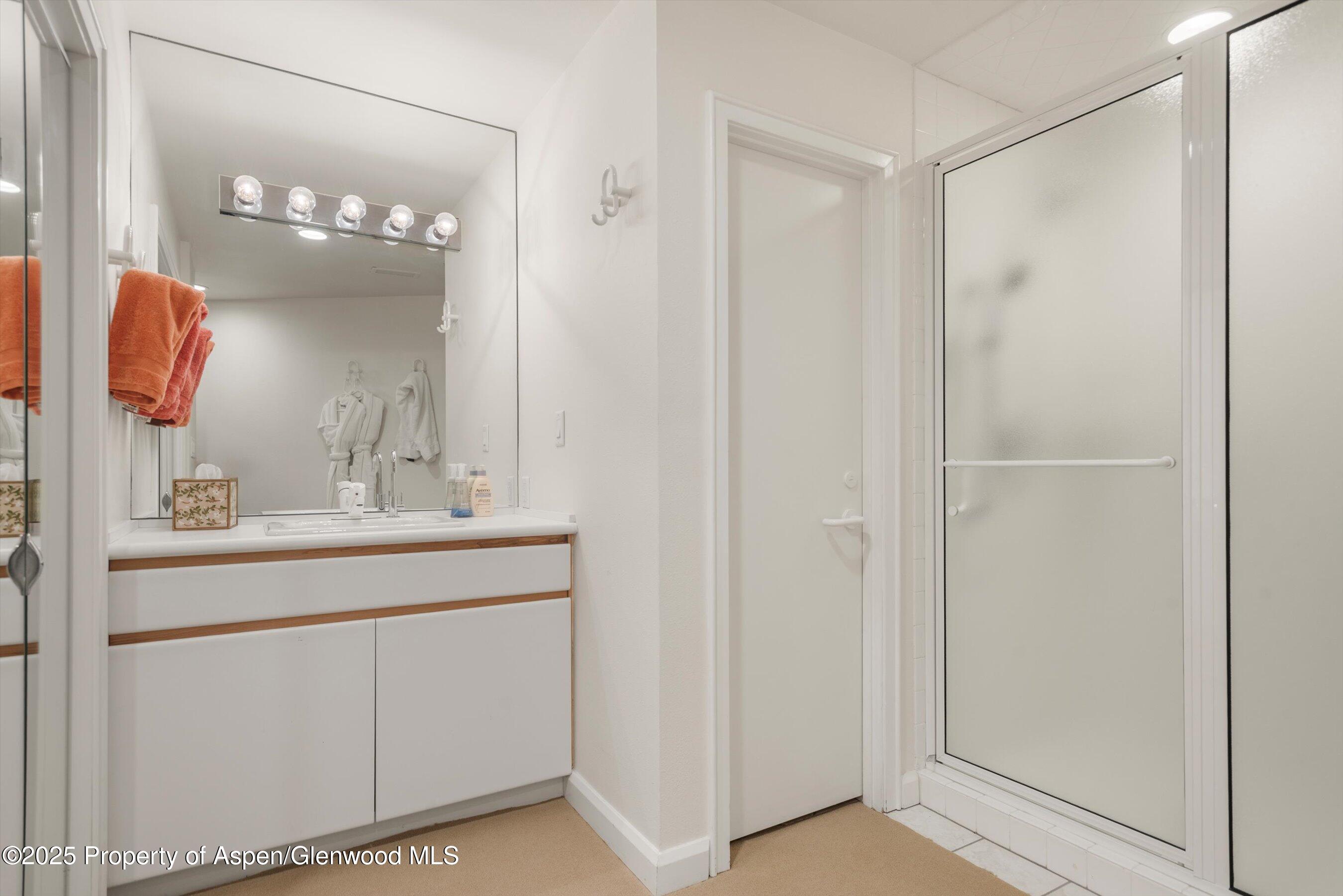 1115 Ute Avenue Aspen CO 81611