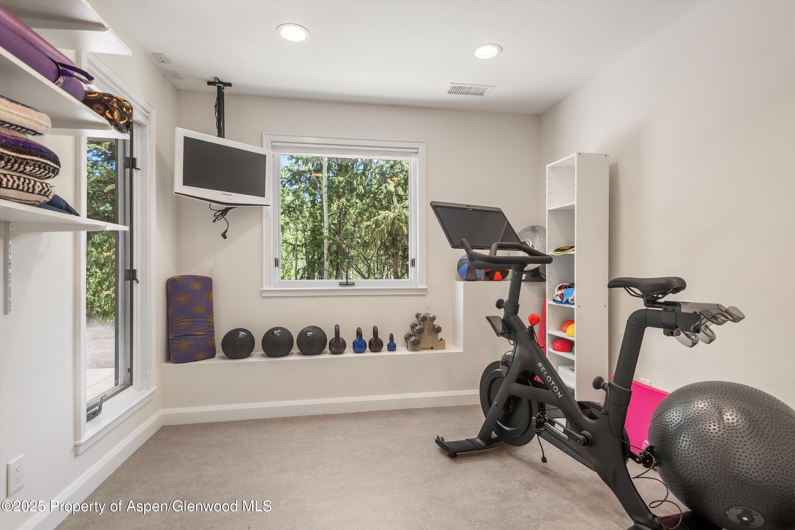 1115 Ute Avenue Aspen CO 81611