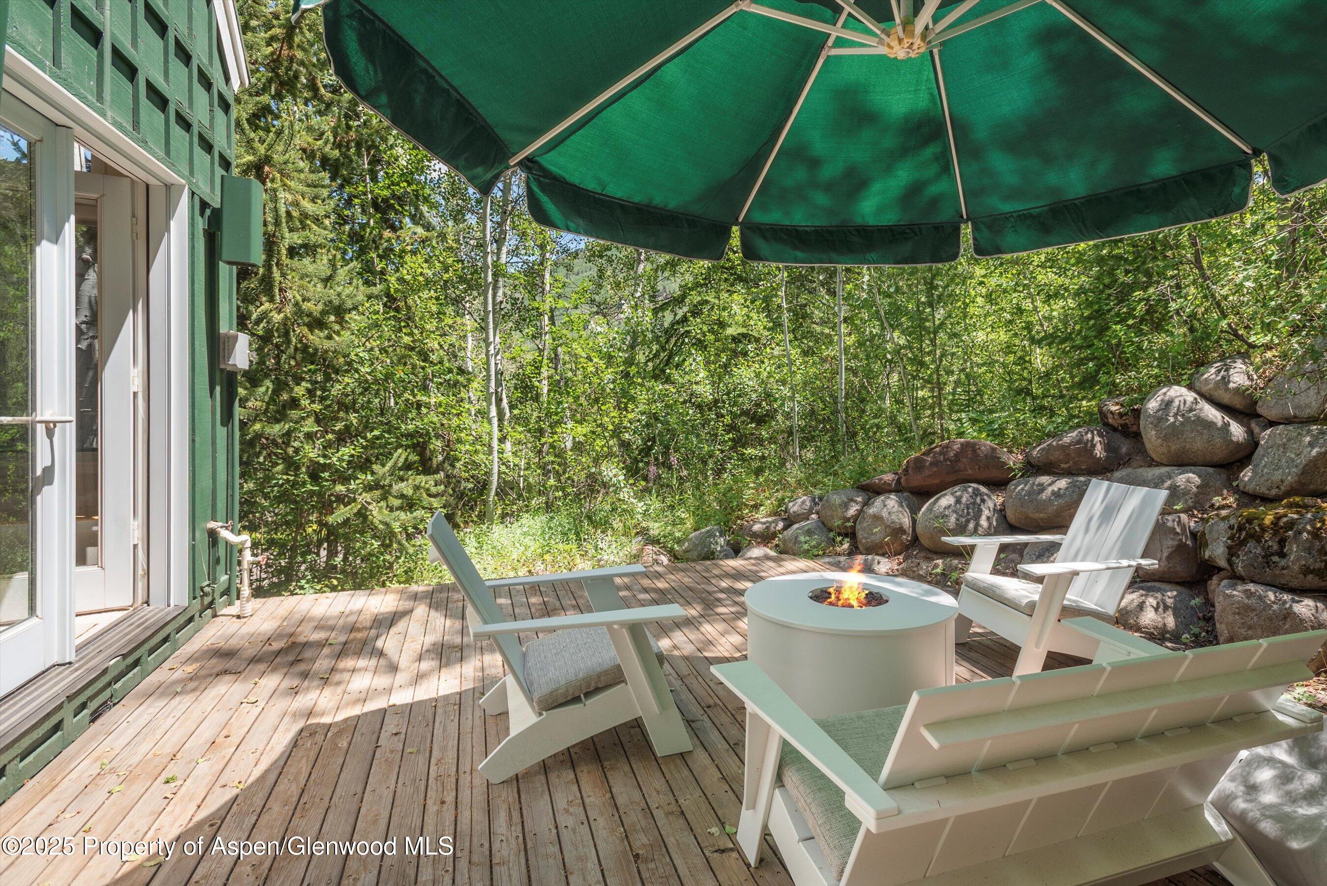 1115 Ute Avenue Aspen CO 81611