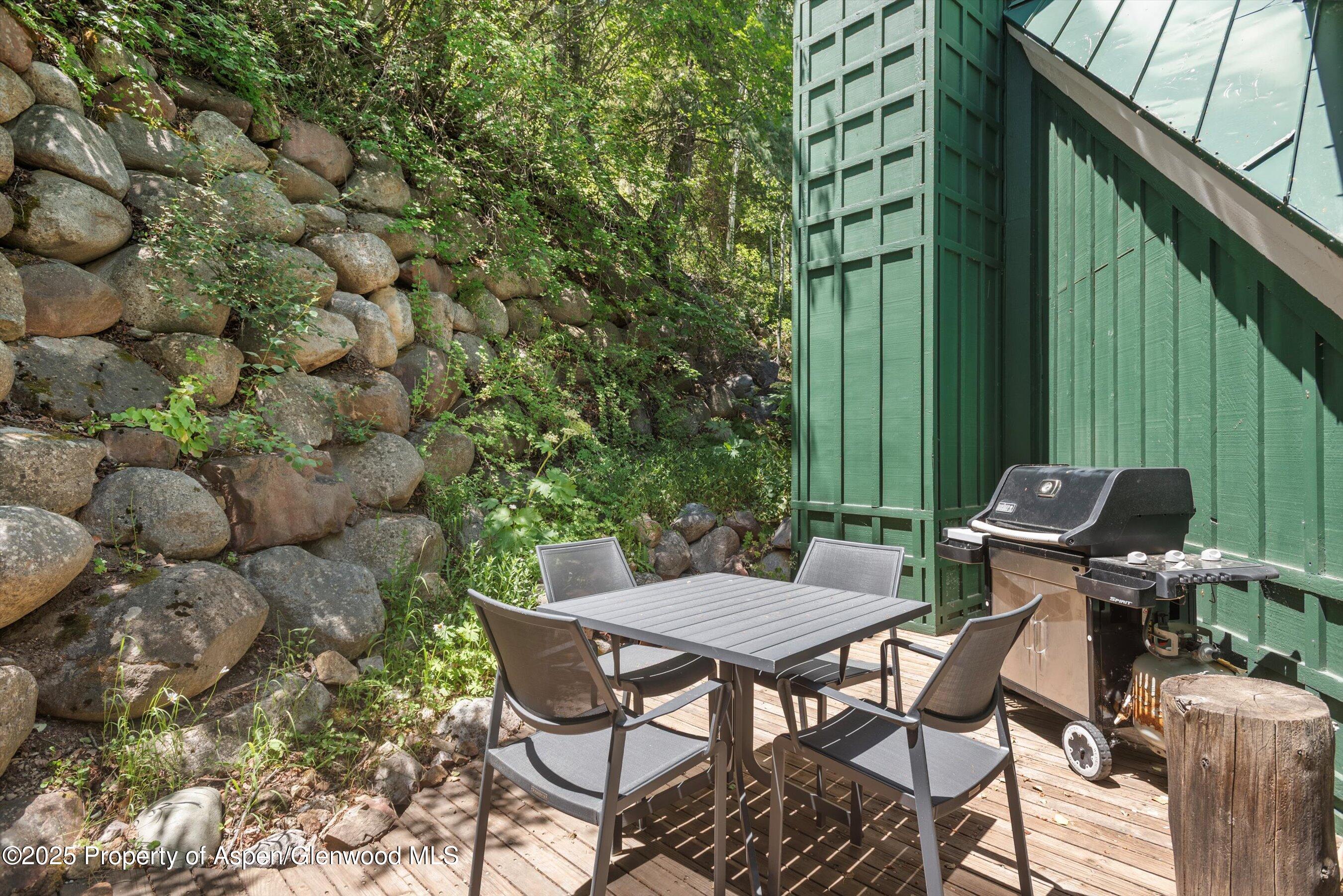 1115 Ute Avenue Aspen CO 81611