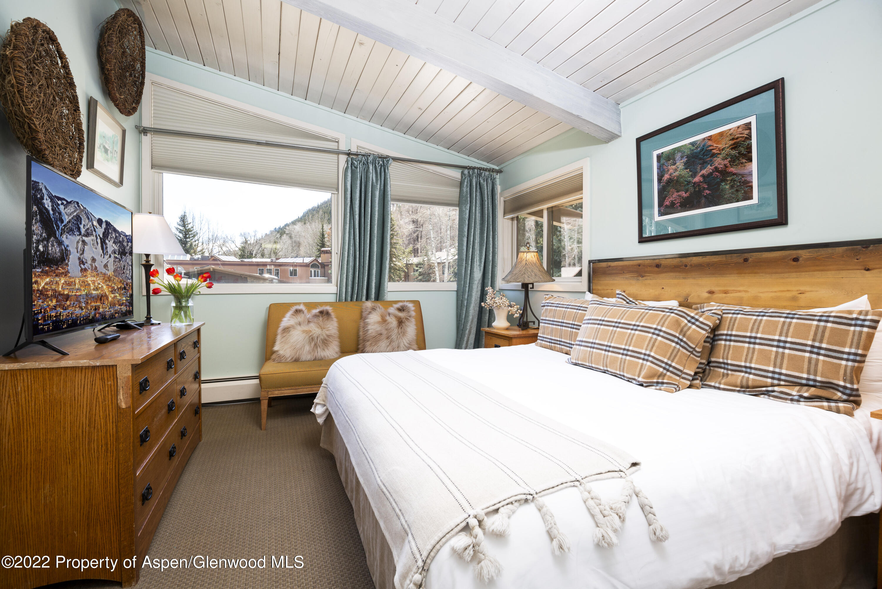 700 S Ute Avenue Aspen CO 81611