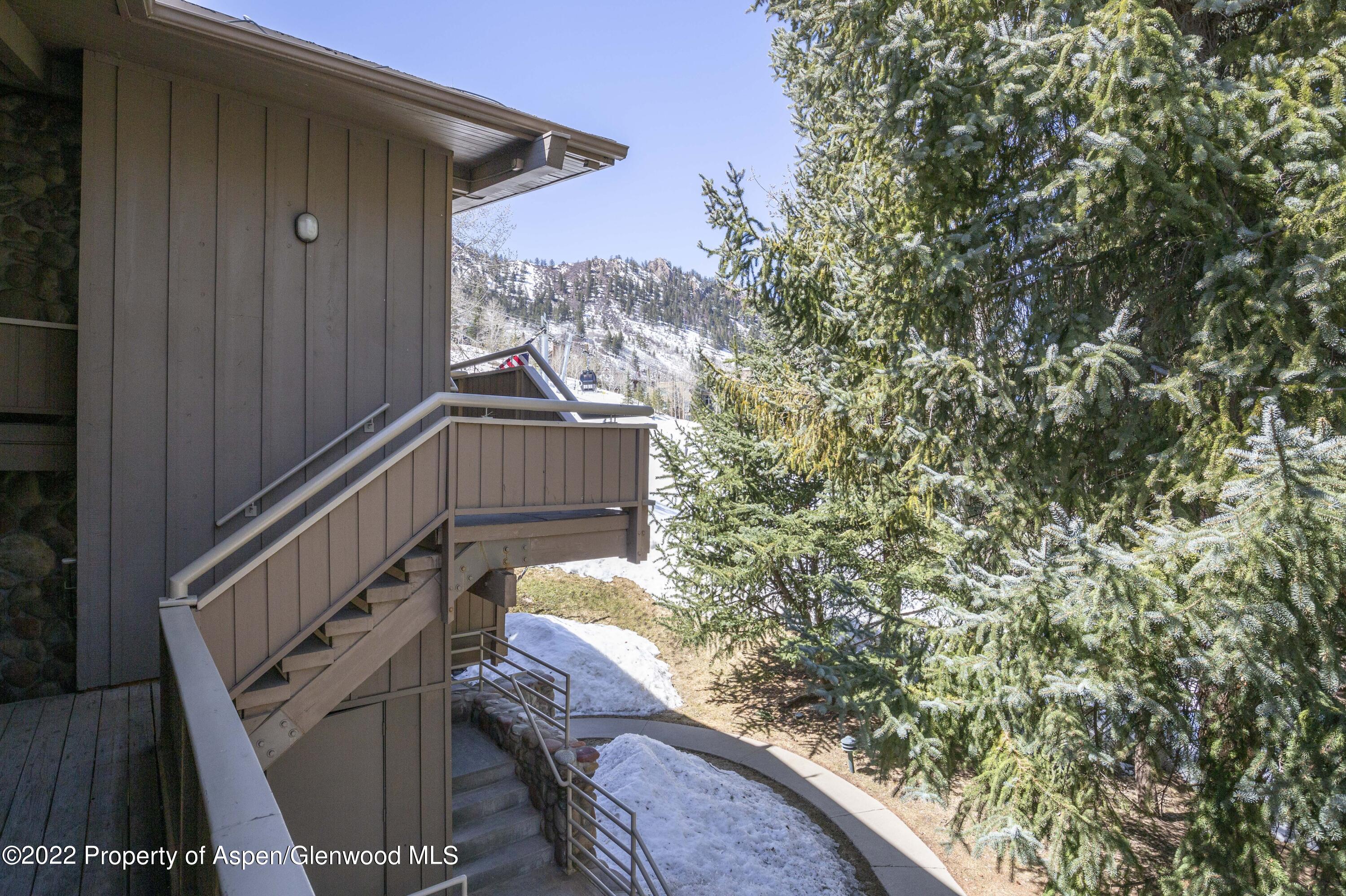 700 S Ute Avenue Aspen CO 81611