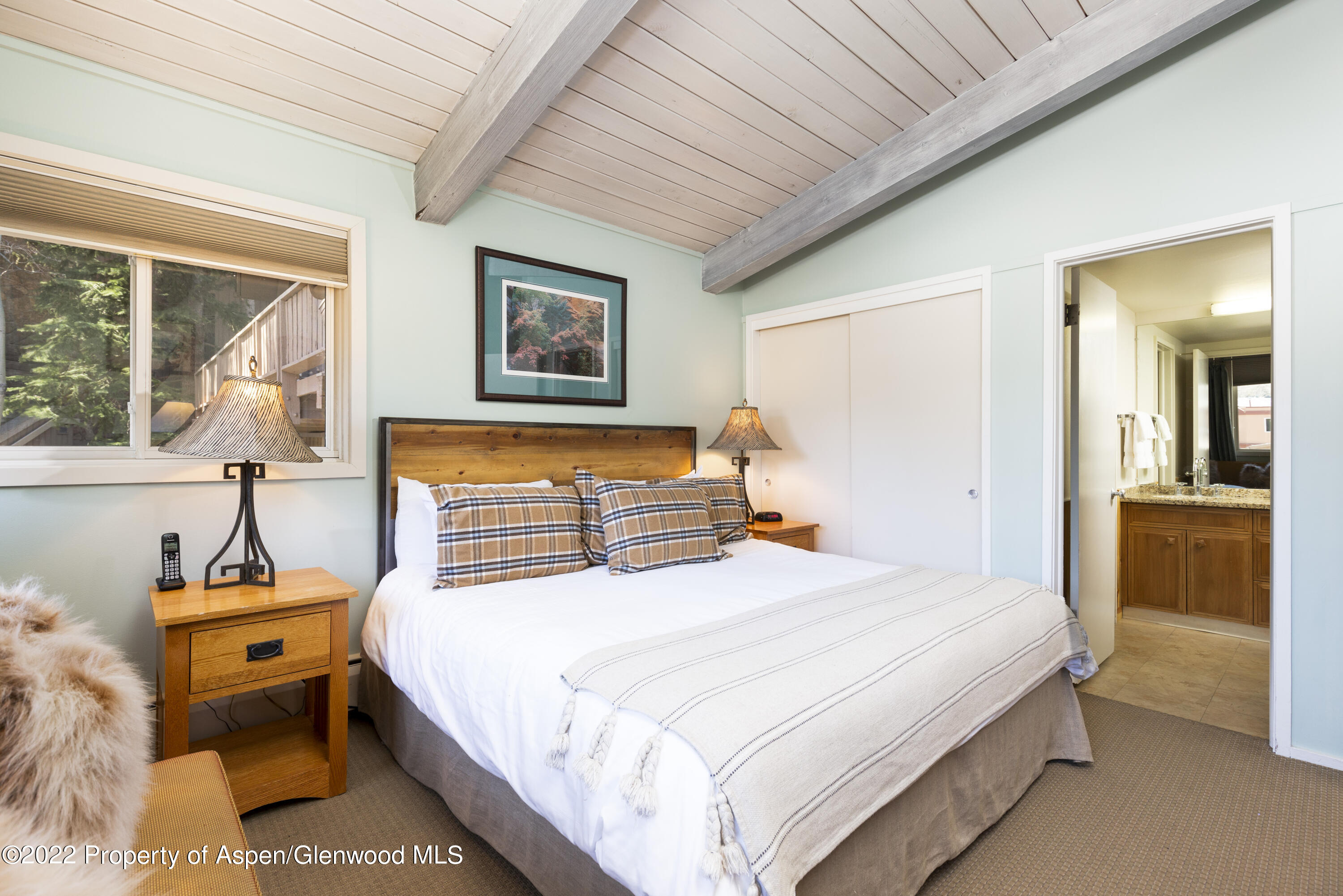 700 S Ute Avenue Aspen CO 81611