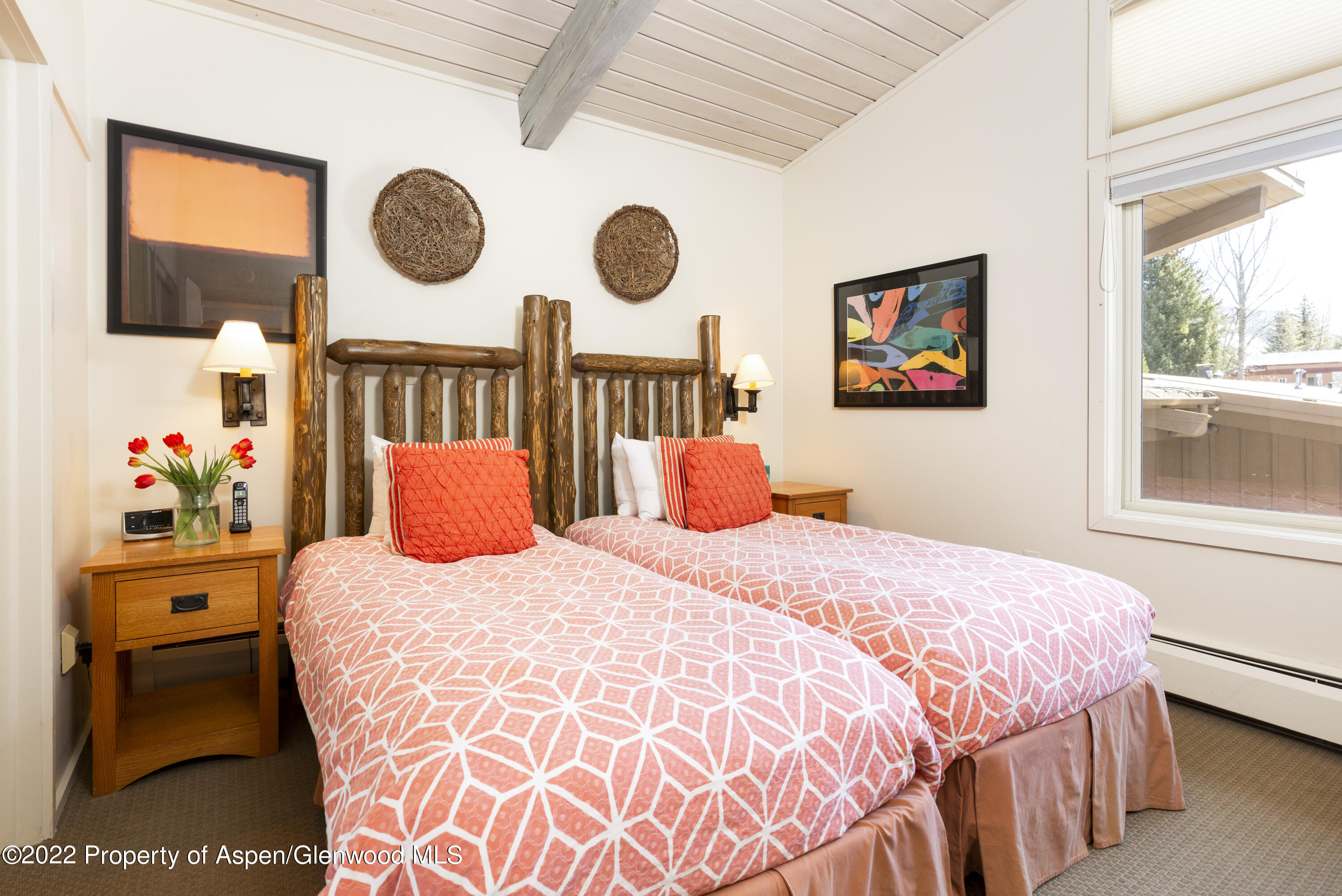 700 S Ute Avenue Aspen CO 81611