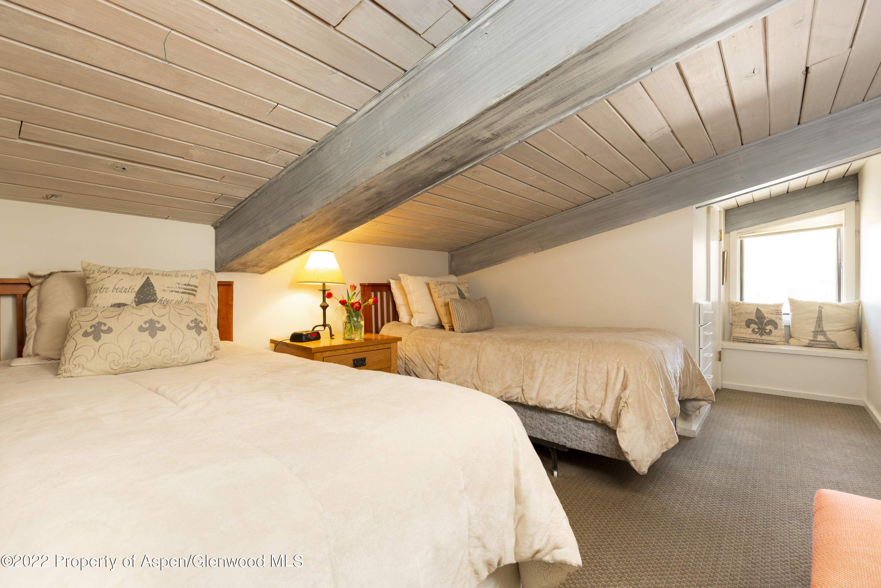 700 S Ute Avenue Aspen CO 81611