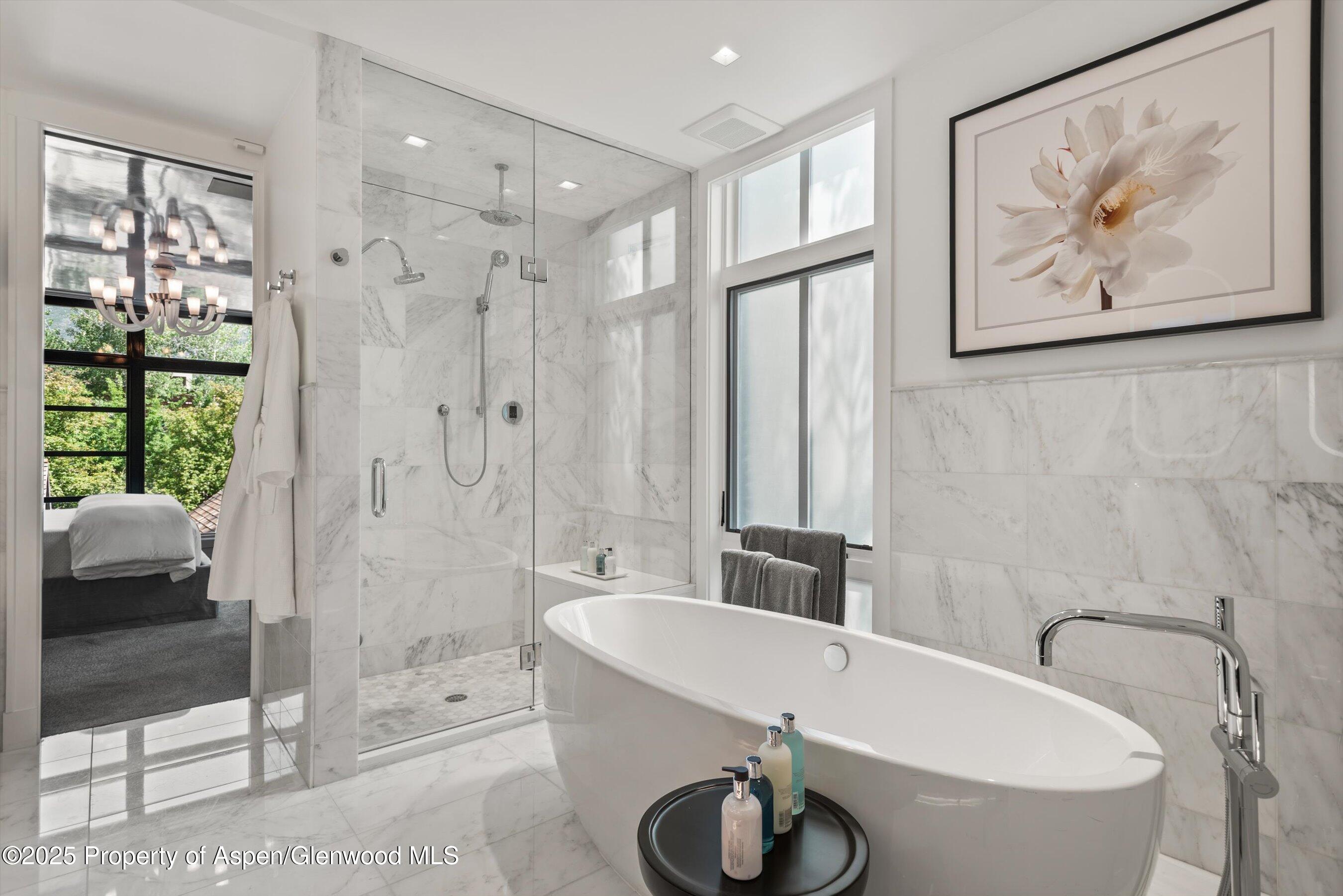 627 E Hopkins Avenue Aspen CO 81611