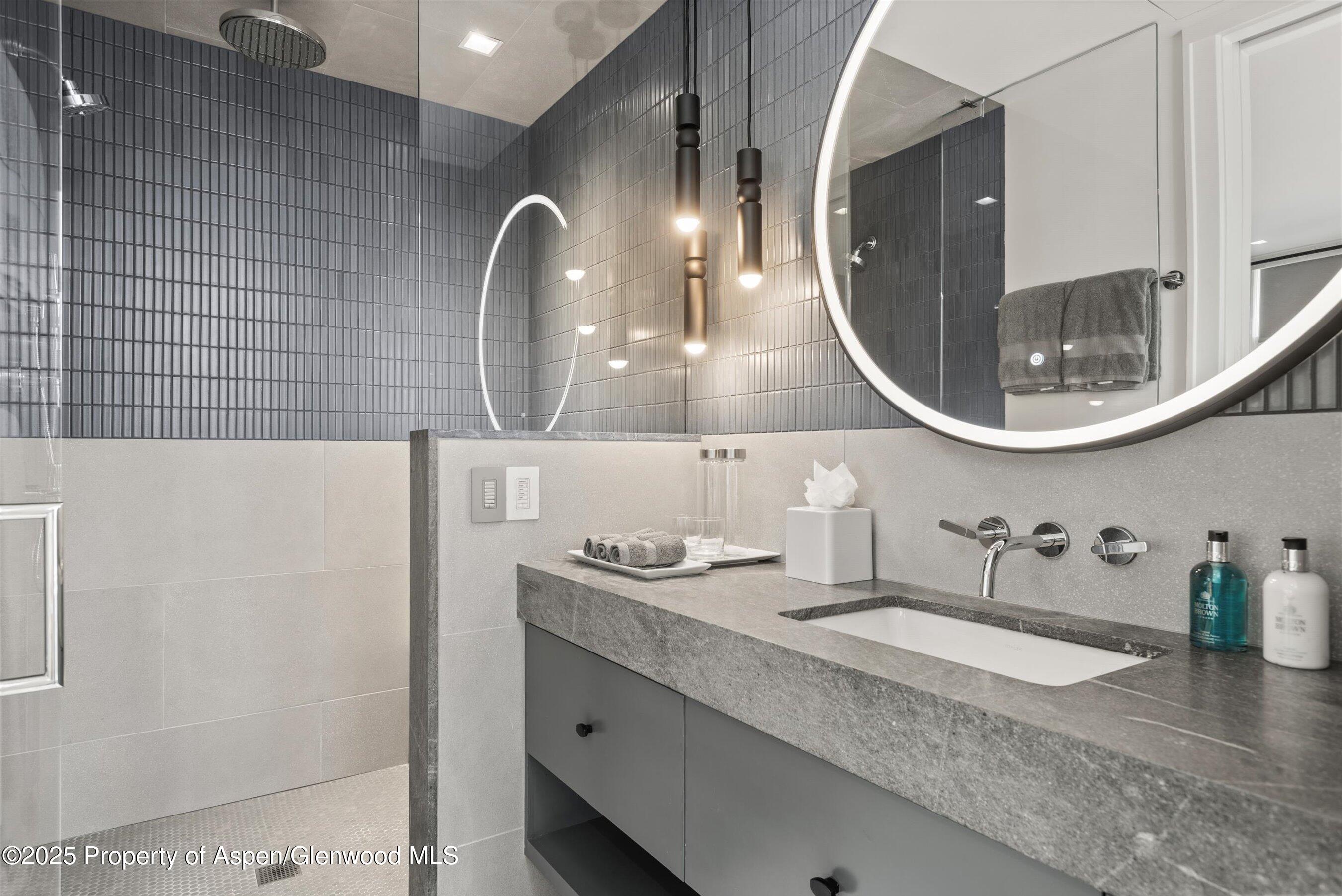 627 E Hopkins Avenue Aspen CO 81611