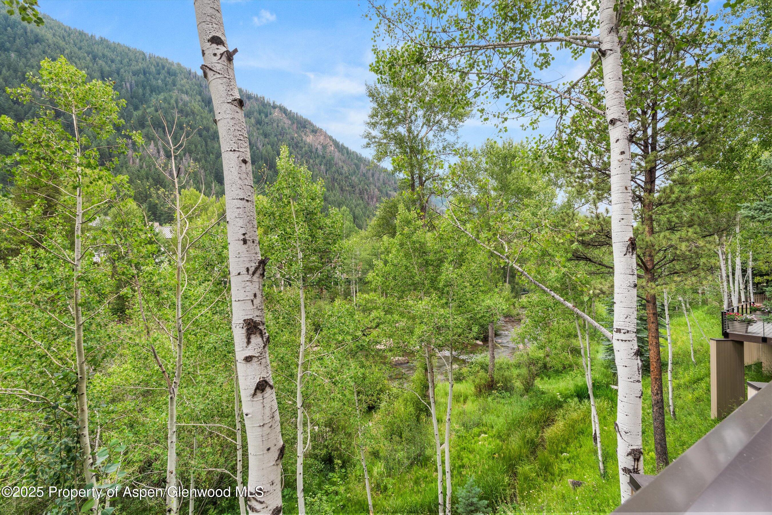 1429 Crystal Lake Road Aspen CO 81611