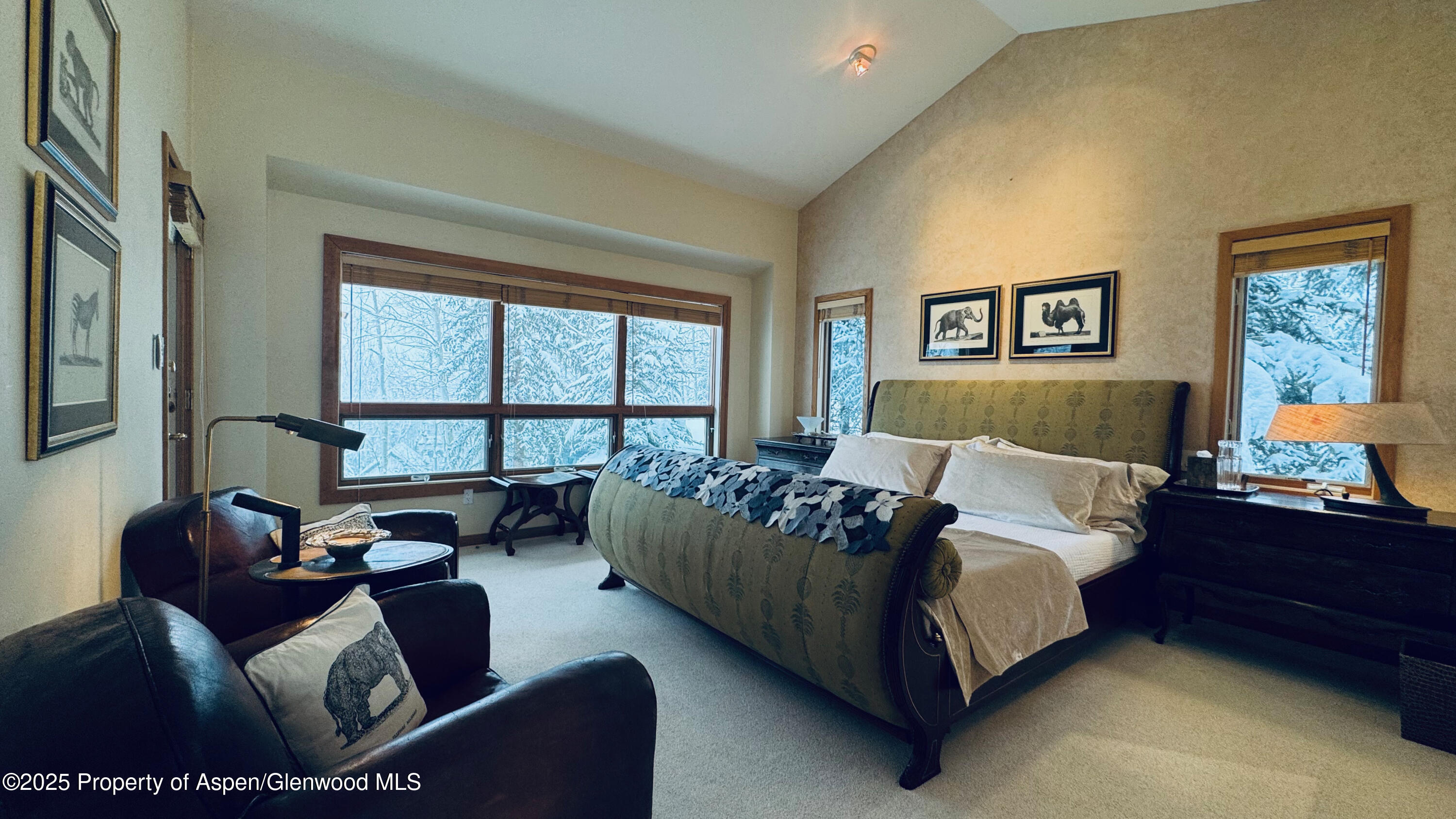 Aspen CO, 302 Roaring Fork Drive