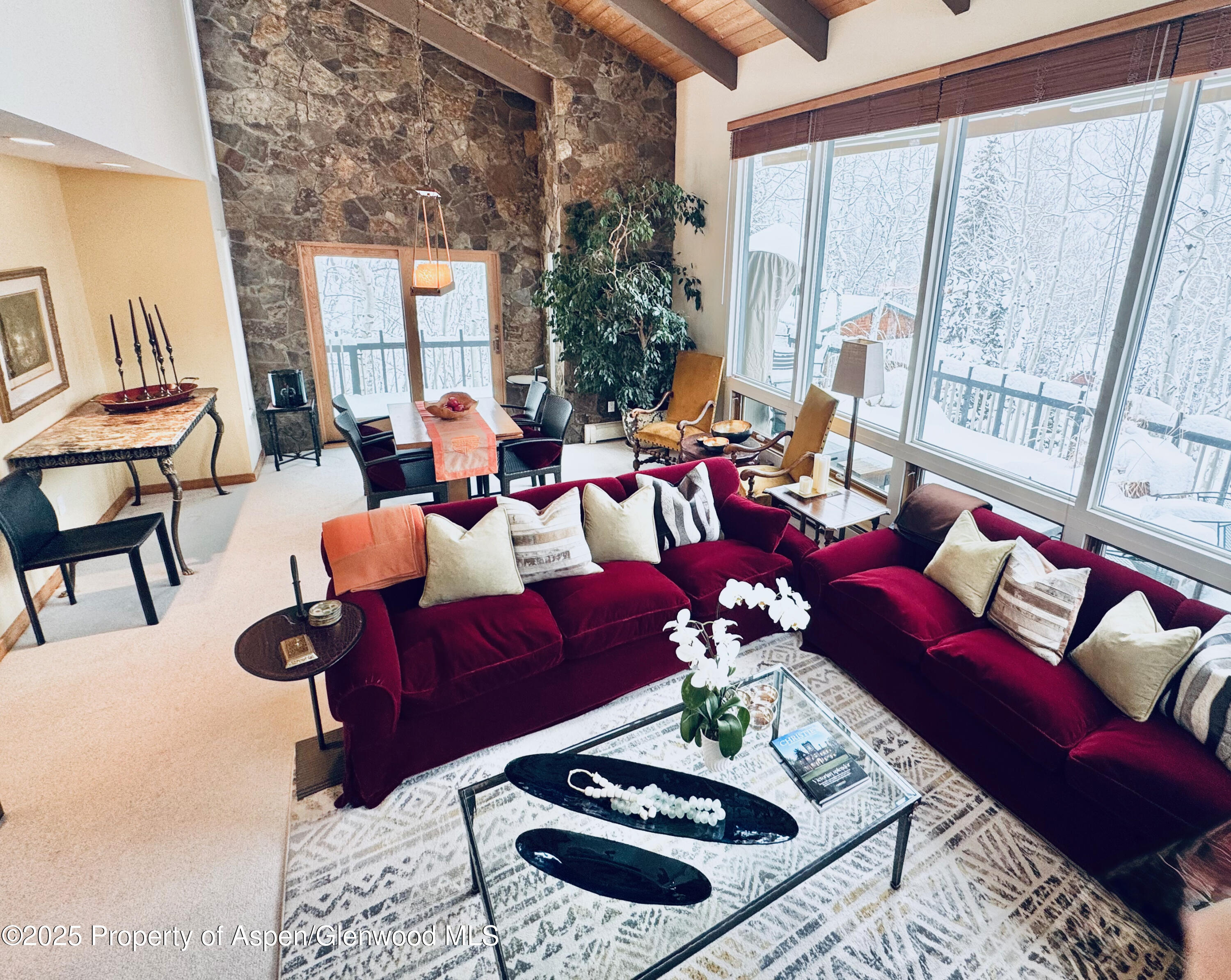 302 Roaring Fork Drive Aspen CO 81611