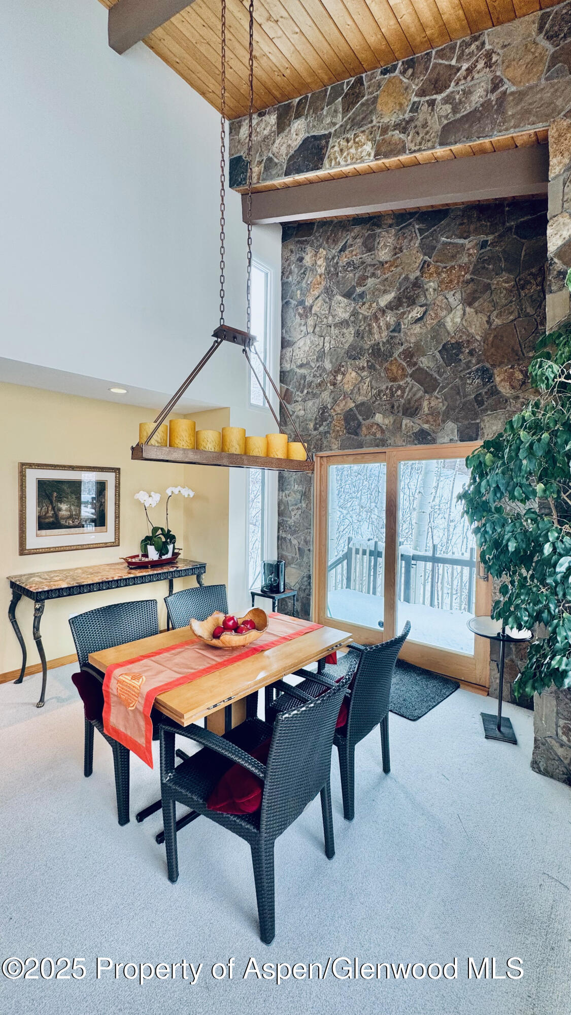 302 Roaring Fork Drive Aspen CO 81611