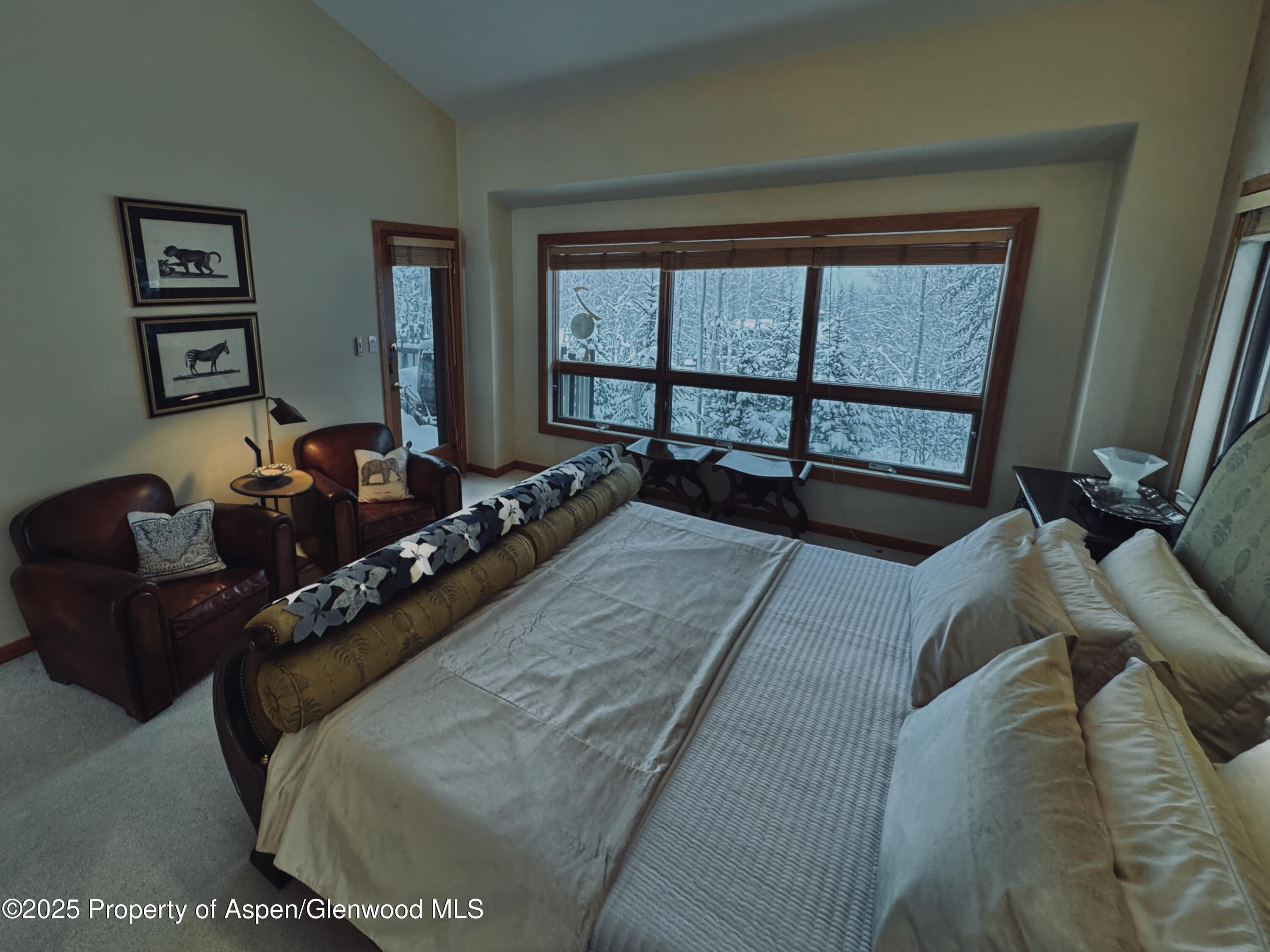 302 Roaring Fork Drive Aspen CO 81611