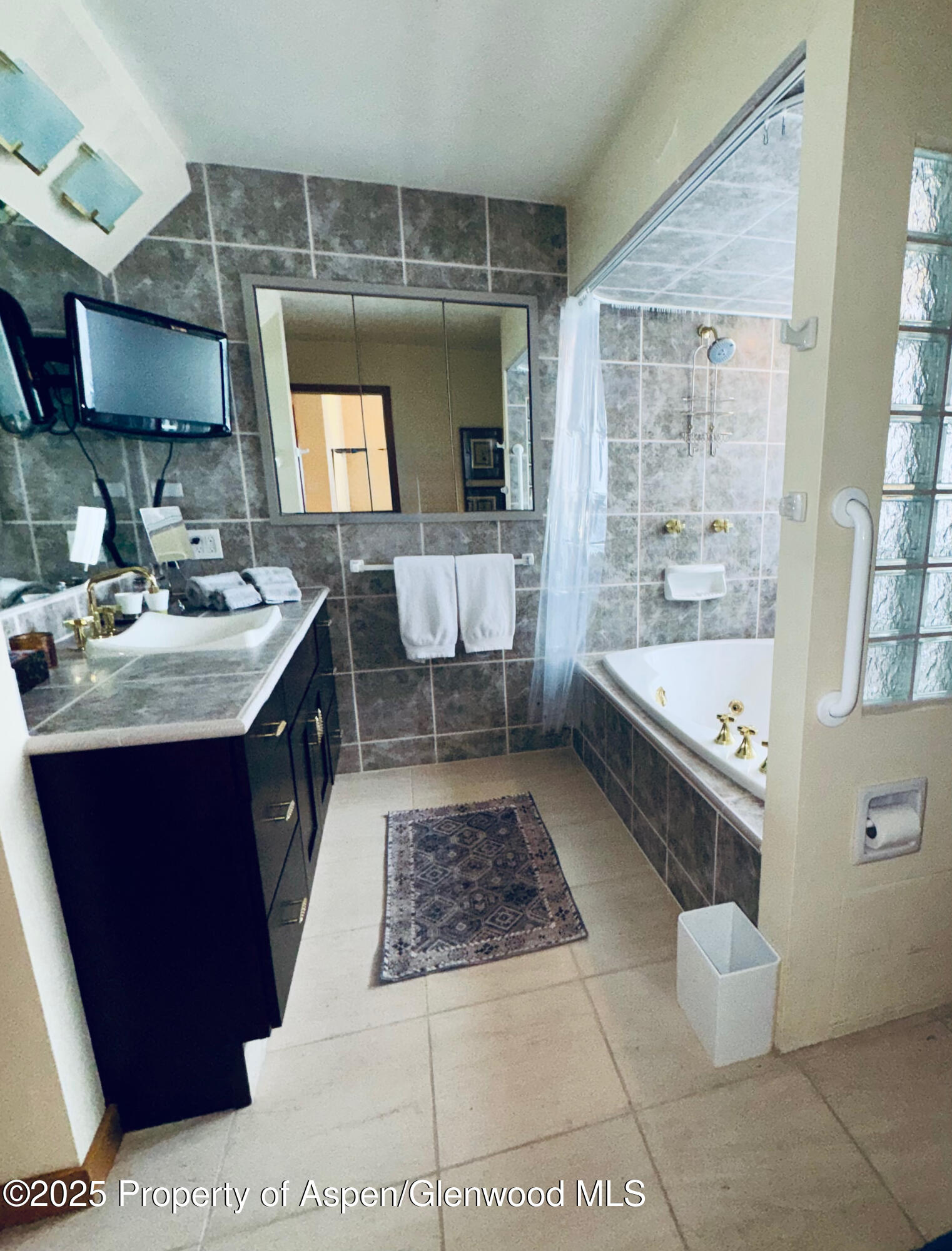 302 Roaring Fork Drive Aspen CO 81611