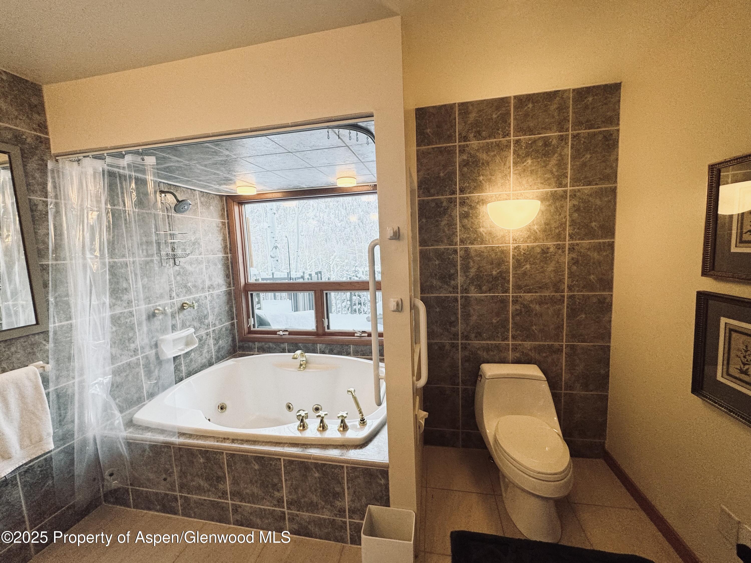 302 Roaring Fork Drive Aspen CO 81611