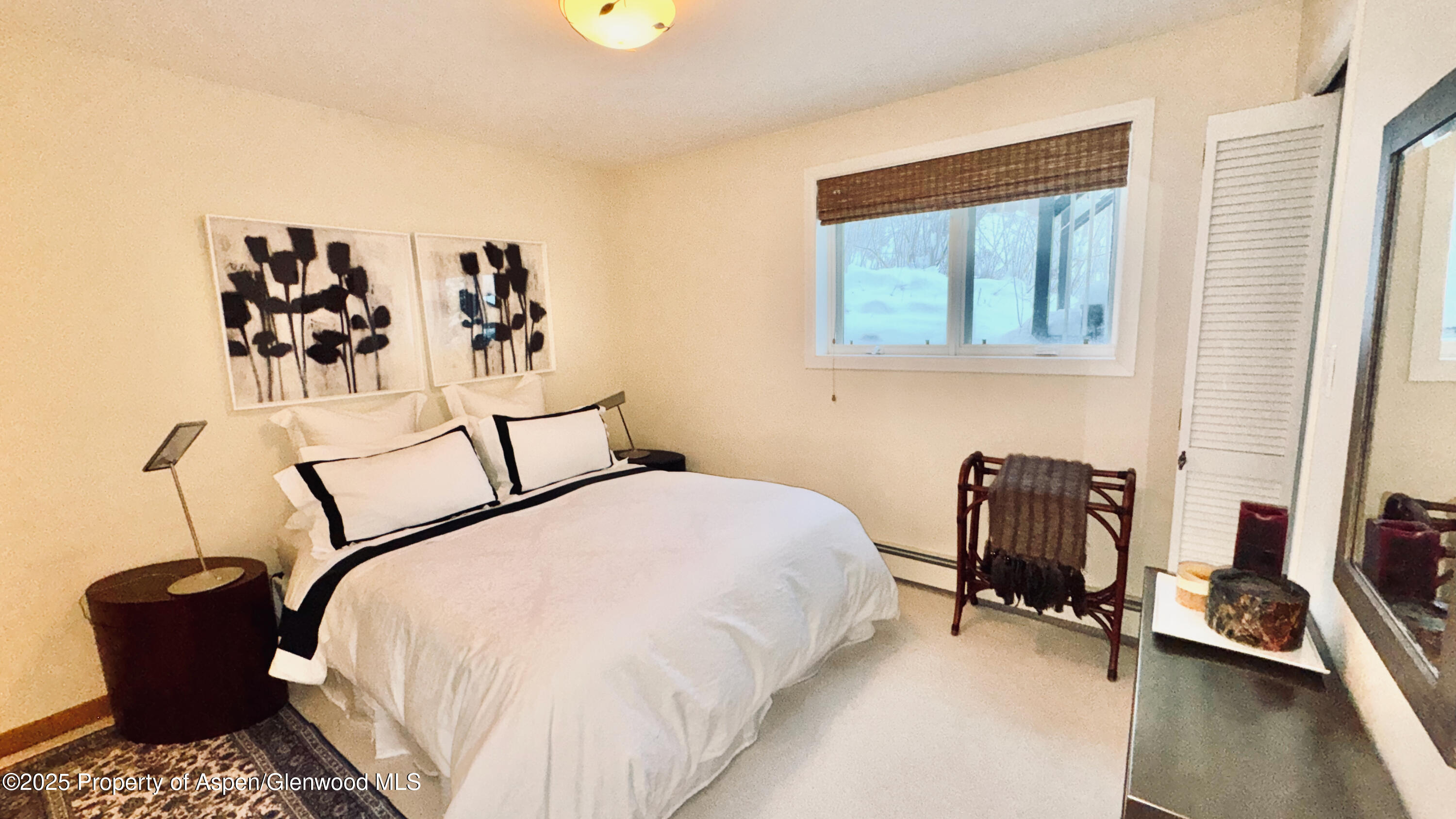 302 Roaring Fork Drive Aspen CO 81611