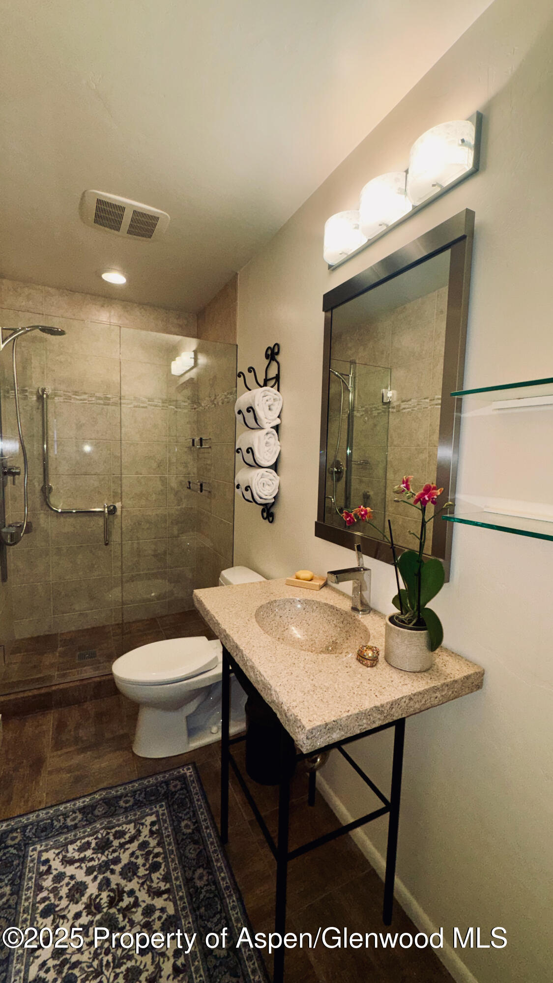 302 Roaring Fork Drive Aspen CO 81611