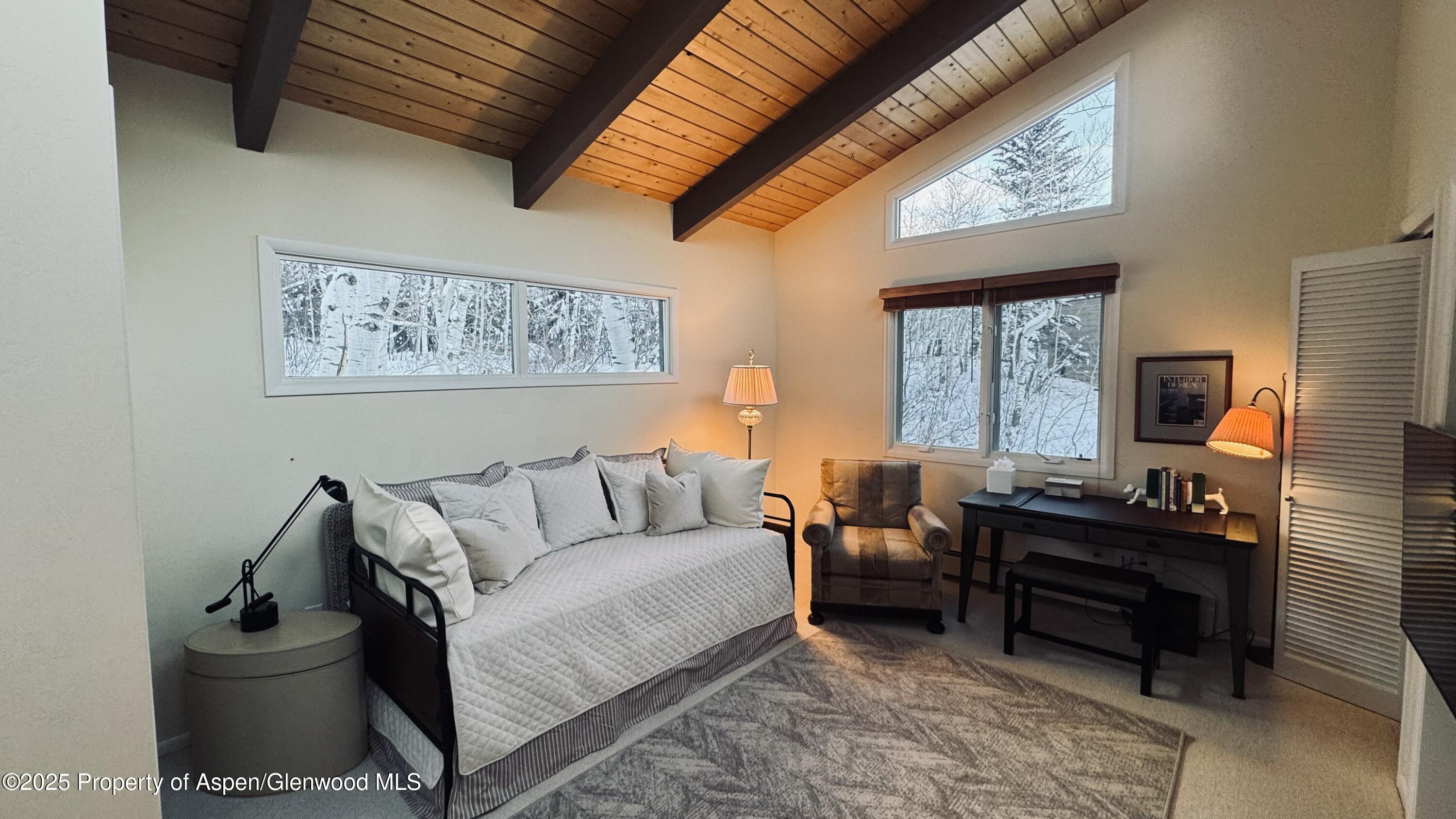 302 Roaring Fork Drive Aspen CO 81611