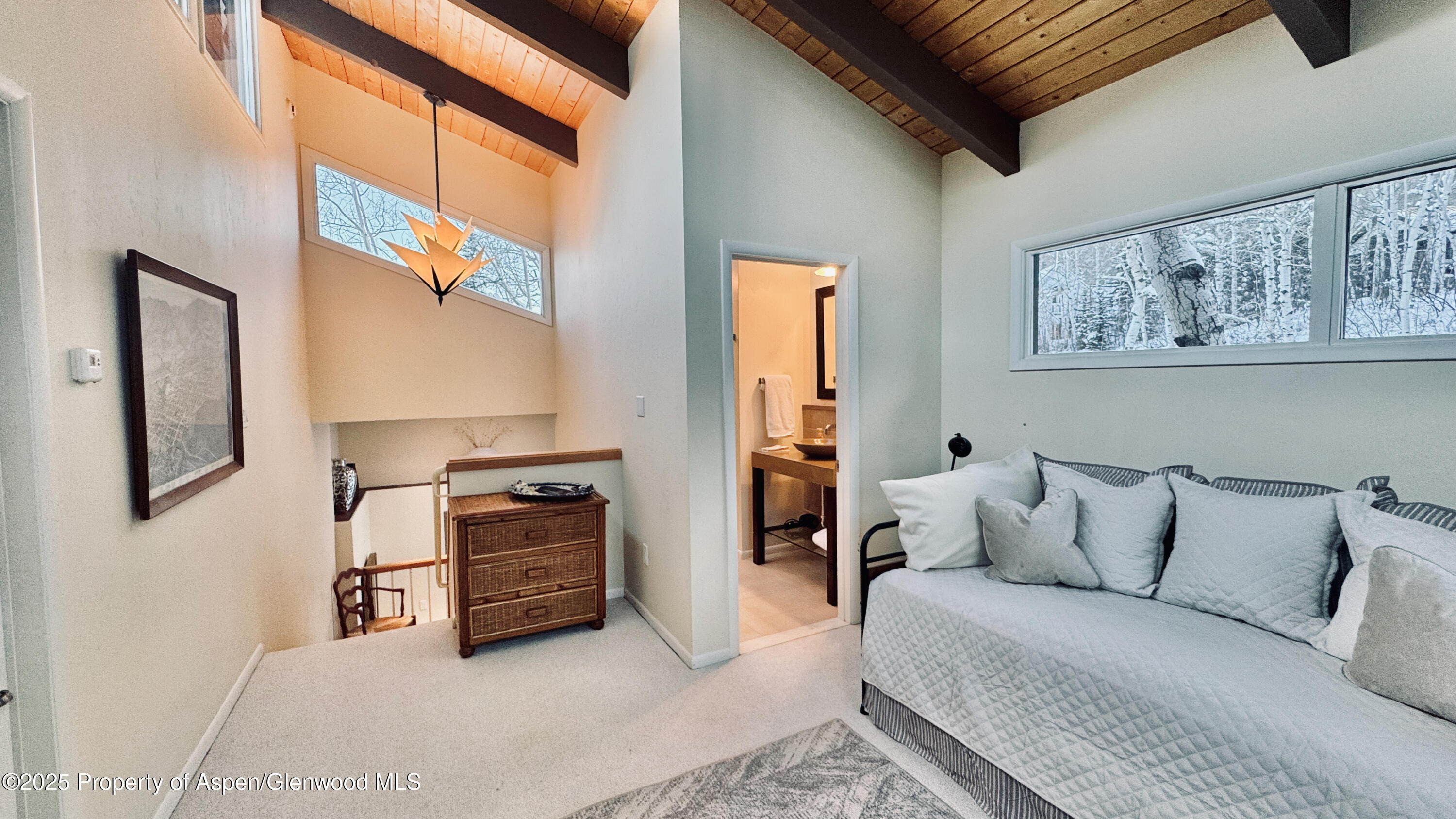 302 Roaring Fork Drive Aspen CO 81611