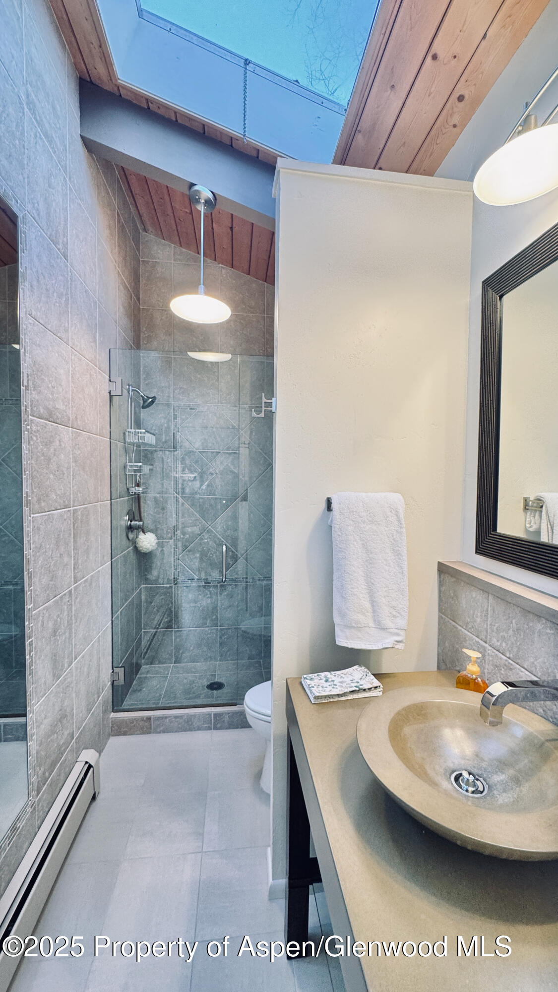 302 Roaring Fork Drive Aspen CO 81611