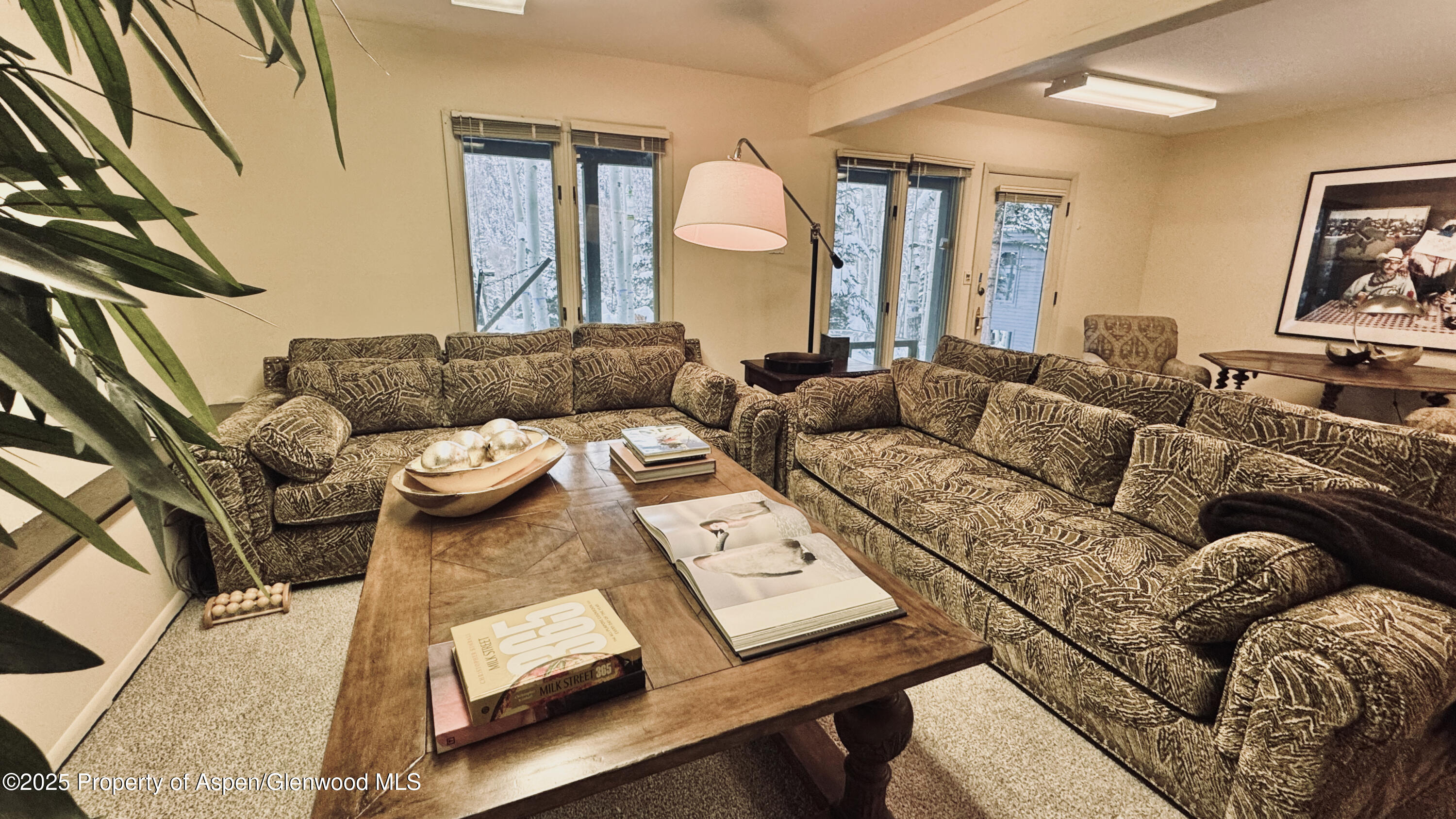 302 Roaring Fork Drive Aspen CO 81611