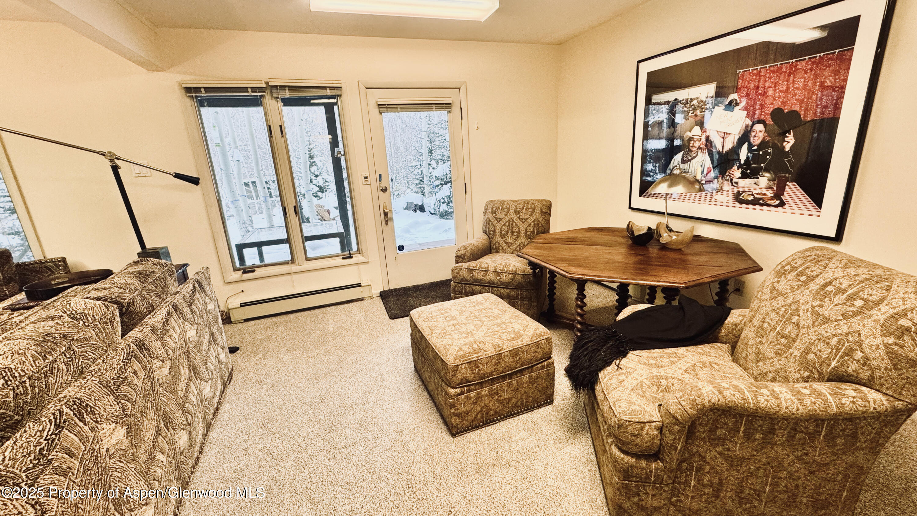 302 Roaring Fork Drive Aspen CO 81611