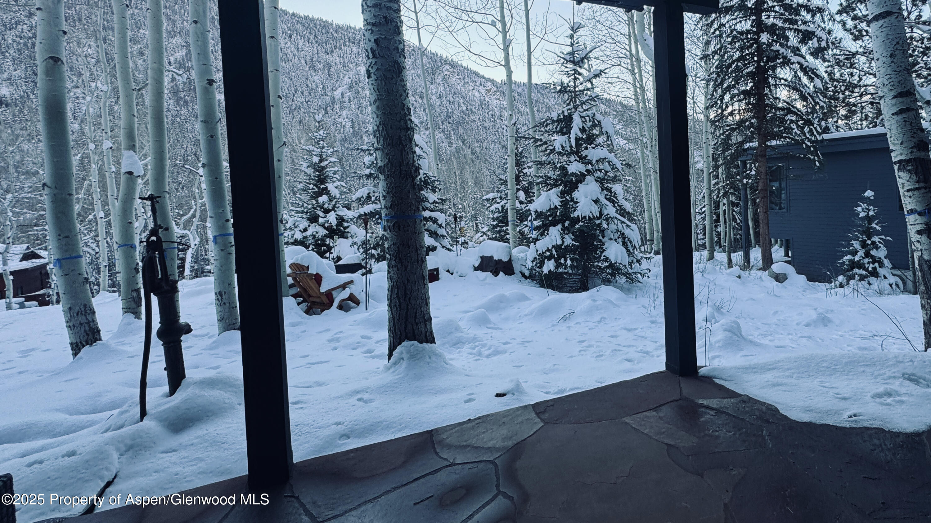 302 Roaring Fork Drive Aspen CO 81611