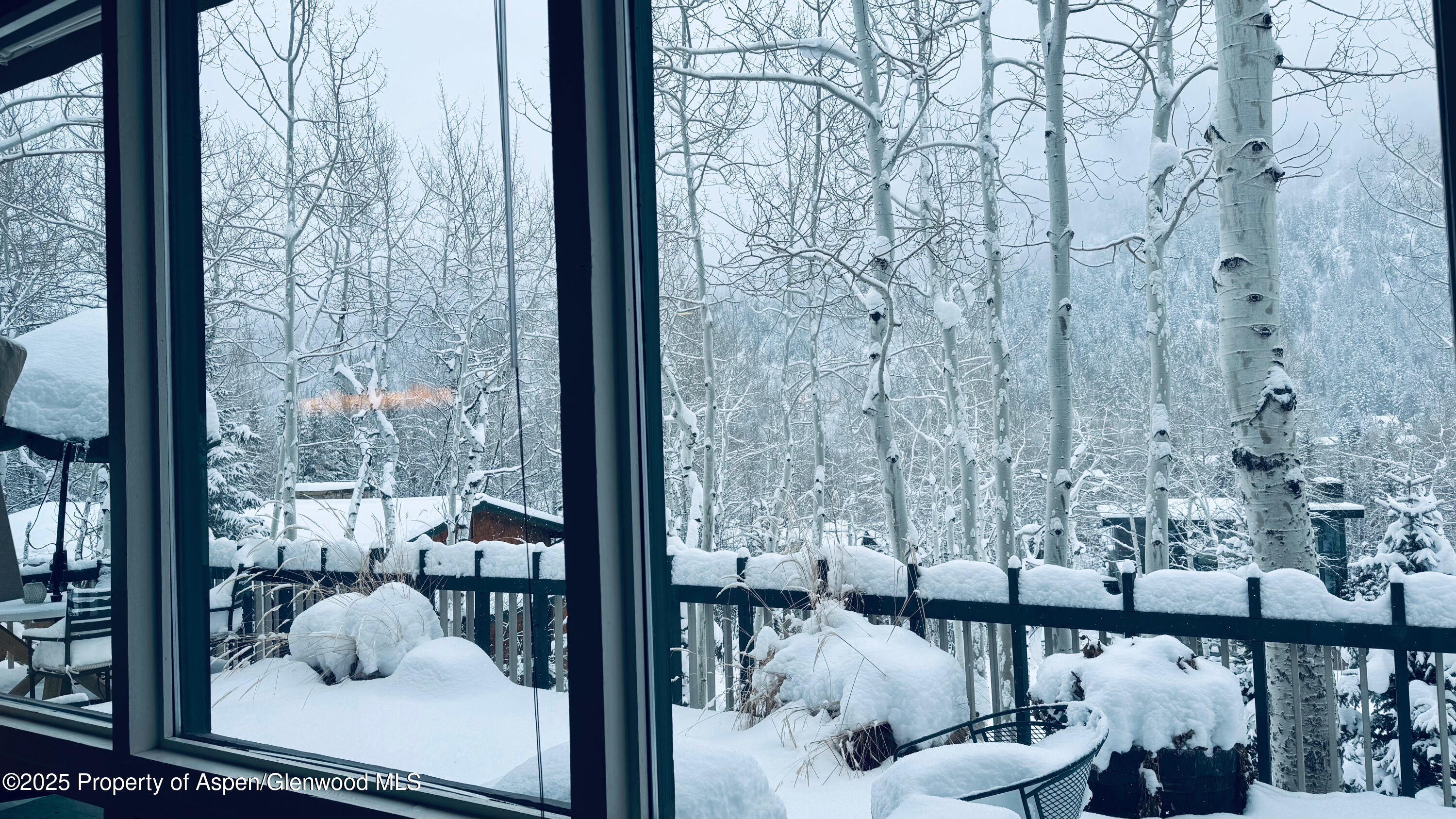 302 Roaring Fork Drive Aspen CO 81611