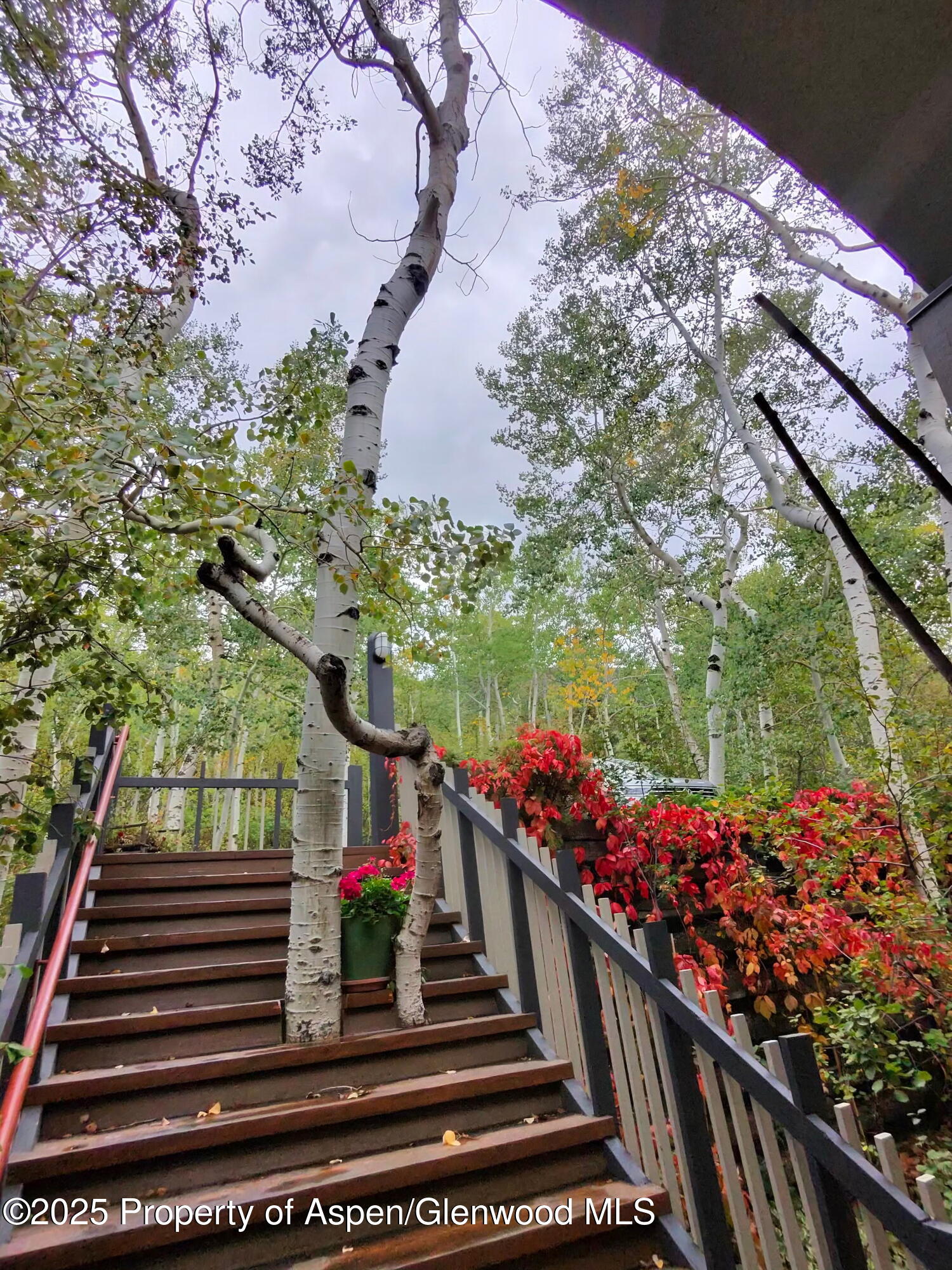 302 Roaring Fork Drive Aspen CO 81611